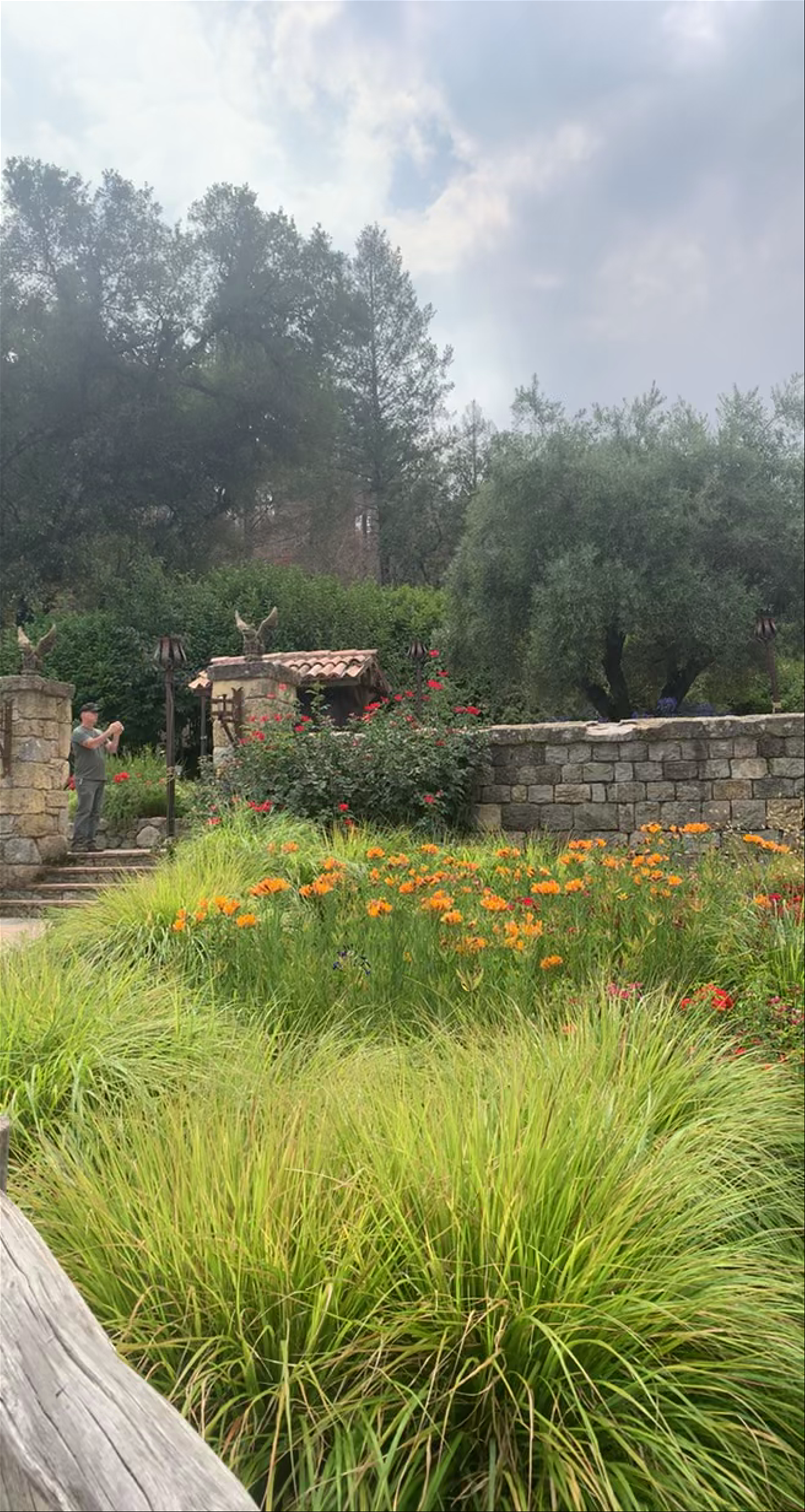 Castello di Amorosa: Medieval Majesty Amid Napa Valley Vines