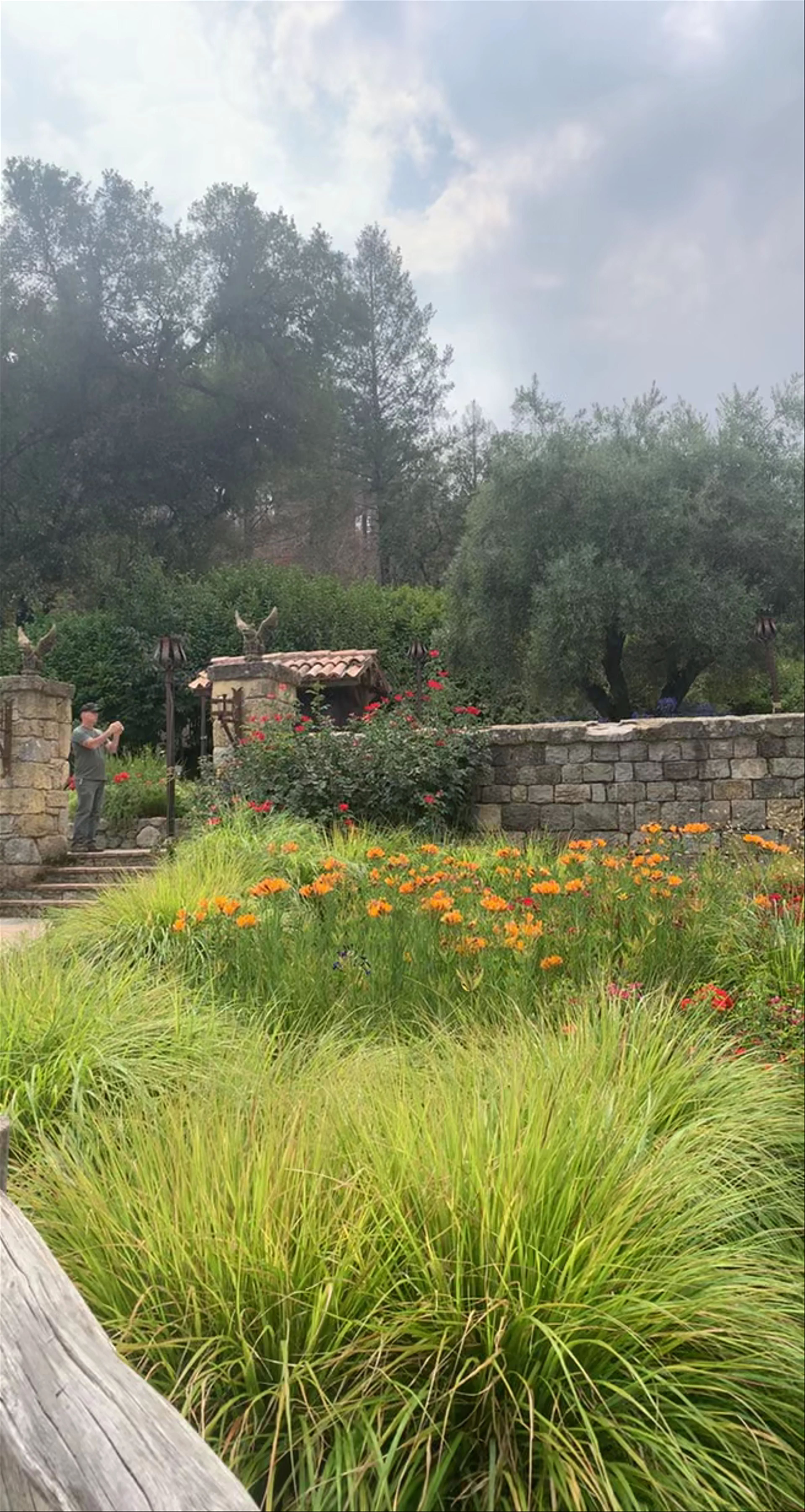 Castello di Amorosa
