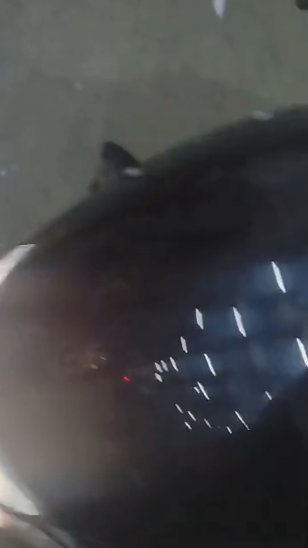 Walk-around video thumbnail