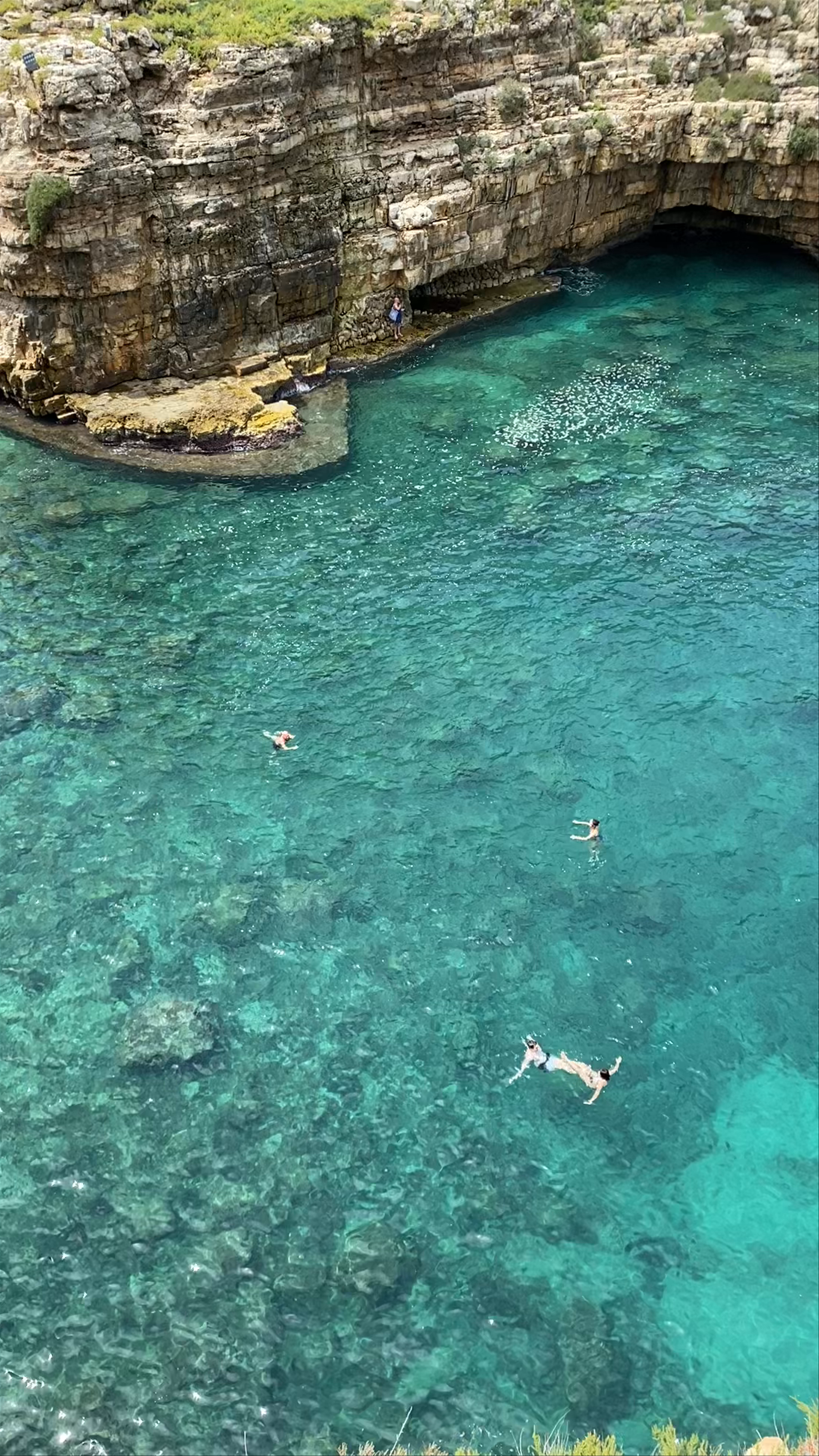 Crystal Clear Swimming in Polignano a Mare's Coastal Coves