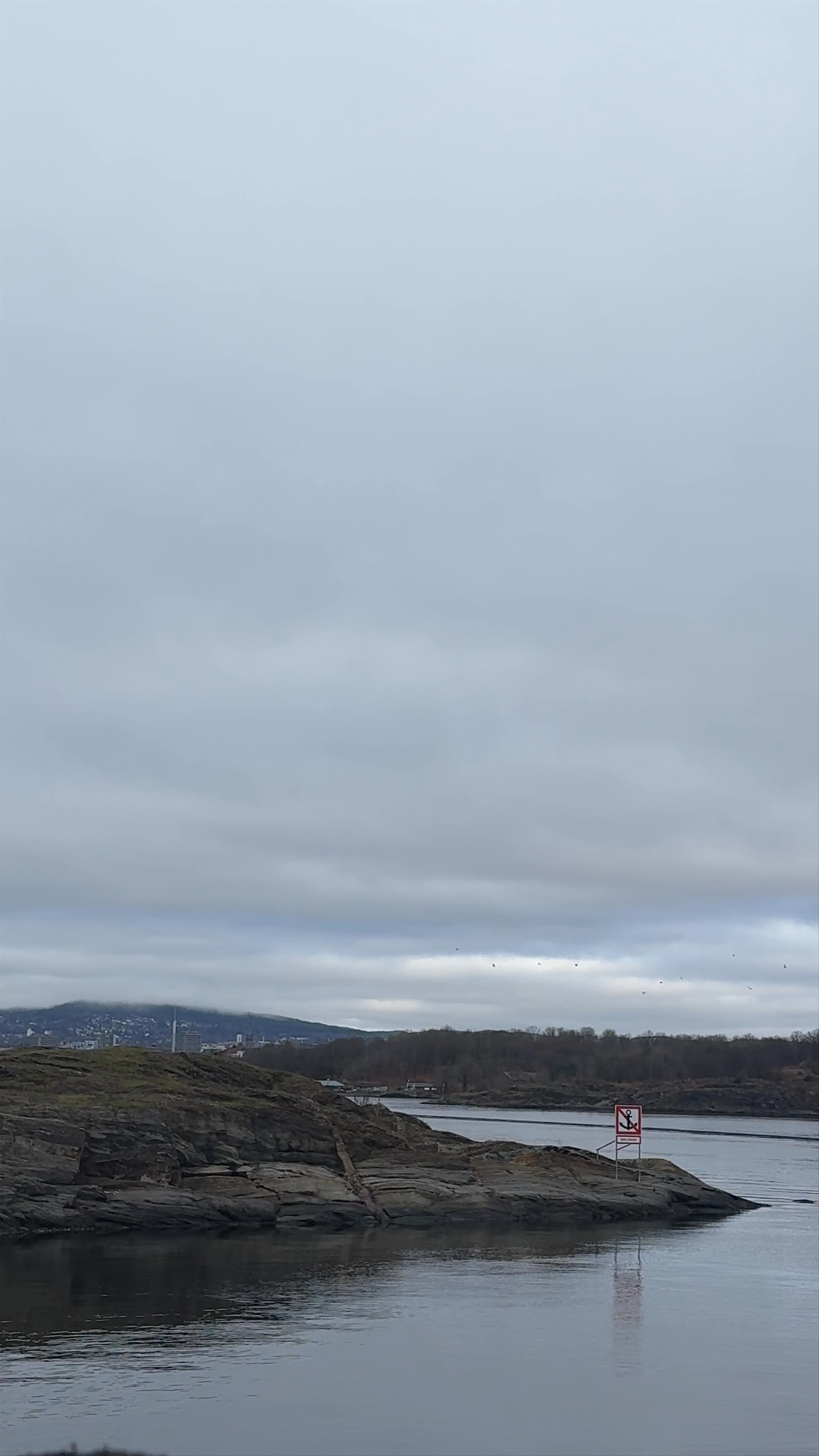 Oslo sightseeing fjord Tour