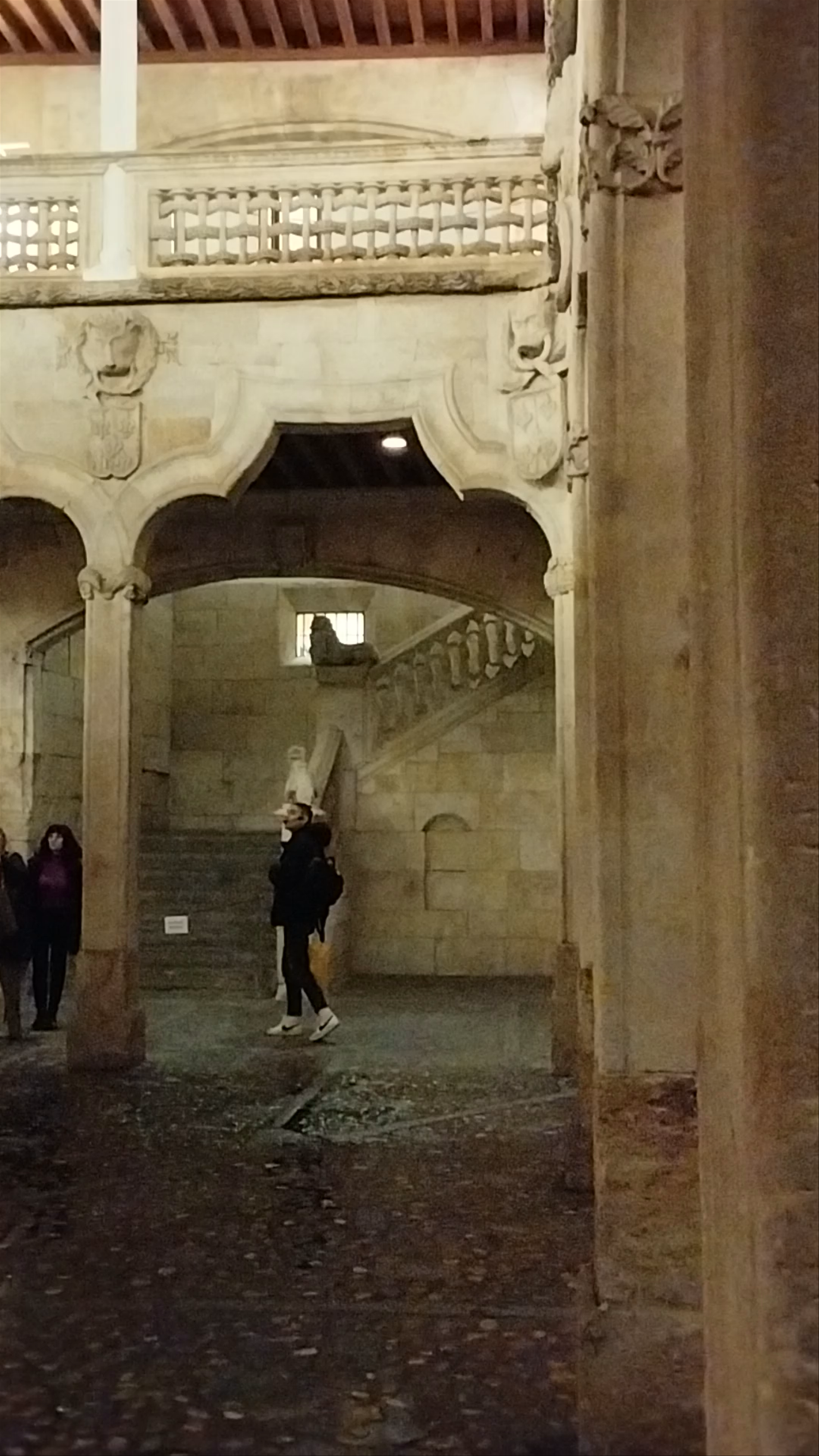 Casa de las Conchas: A Gothic Jewel in Salamanca