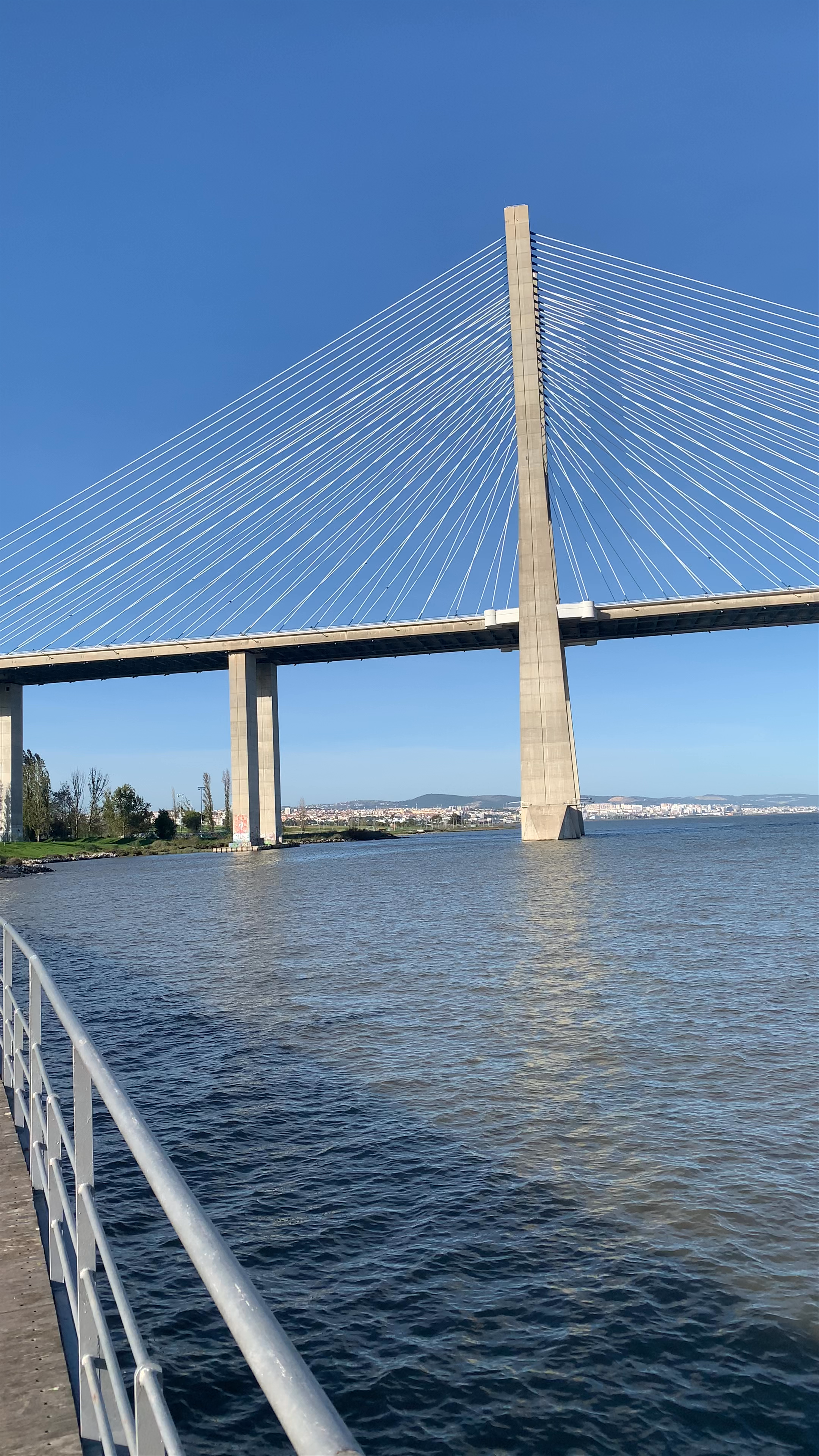 Vasco da Gama Bridge