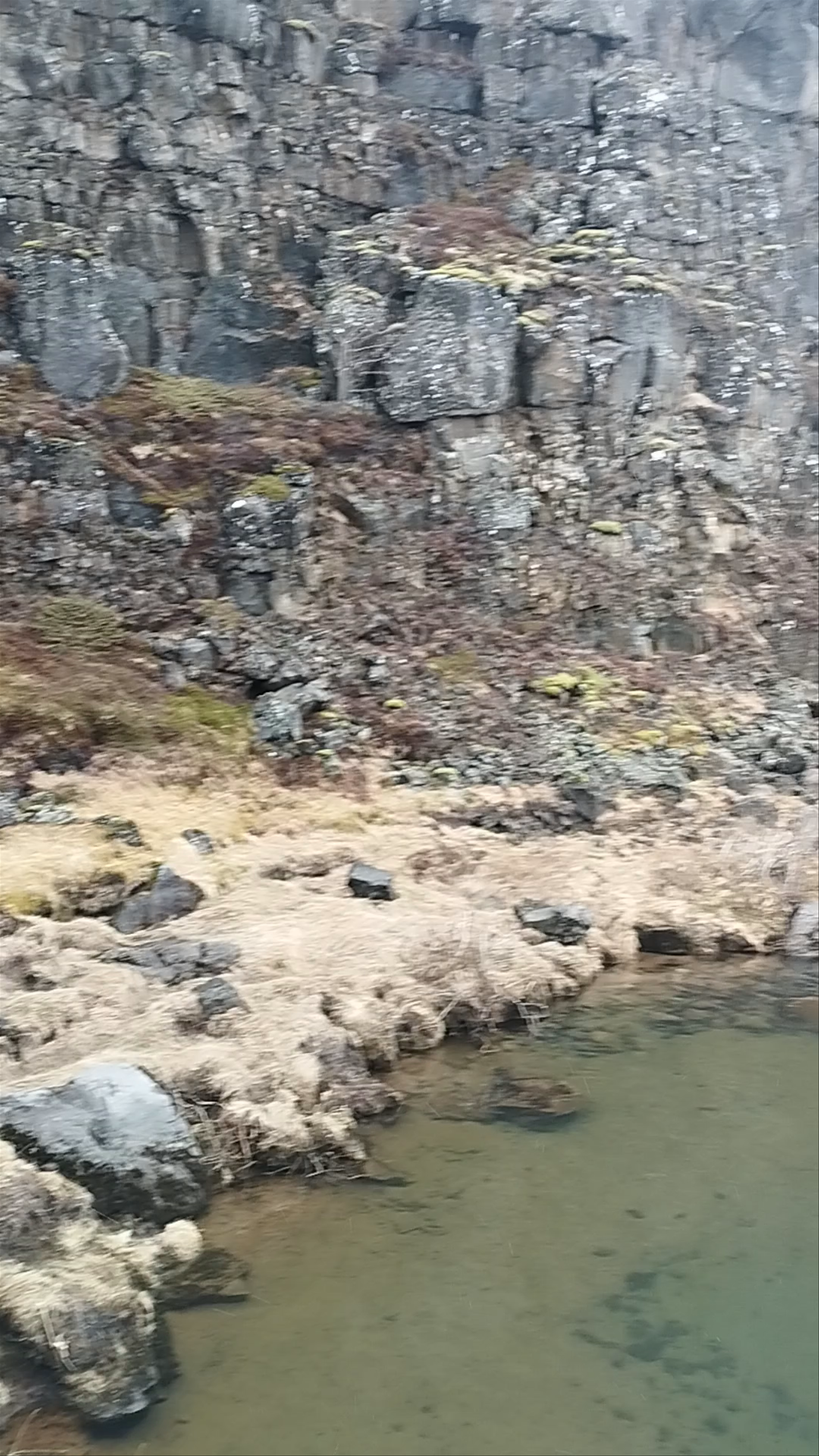 Drekkingarhylur at Thingvellir: Iceland's Rugged Rift Valley