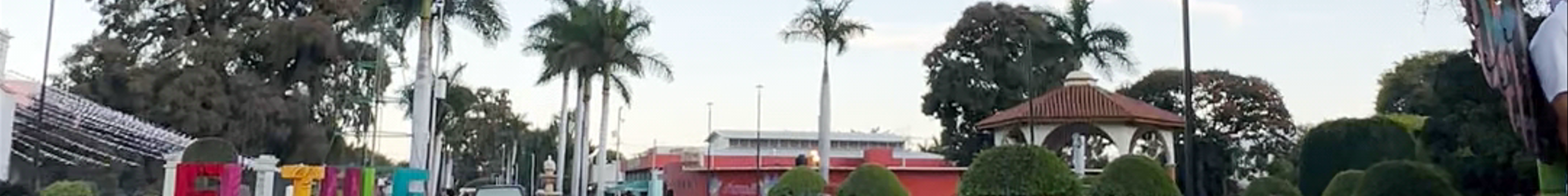 Tours & experiences in Santa María del Tule