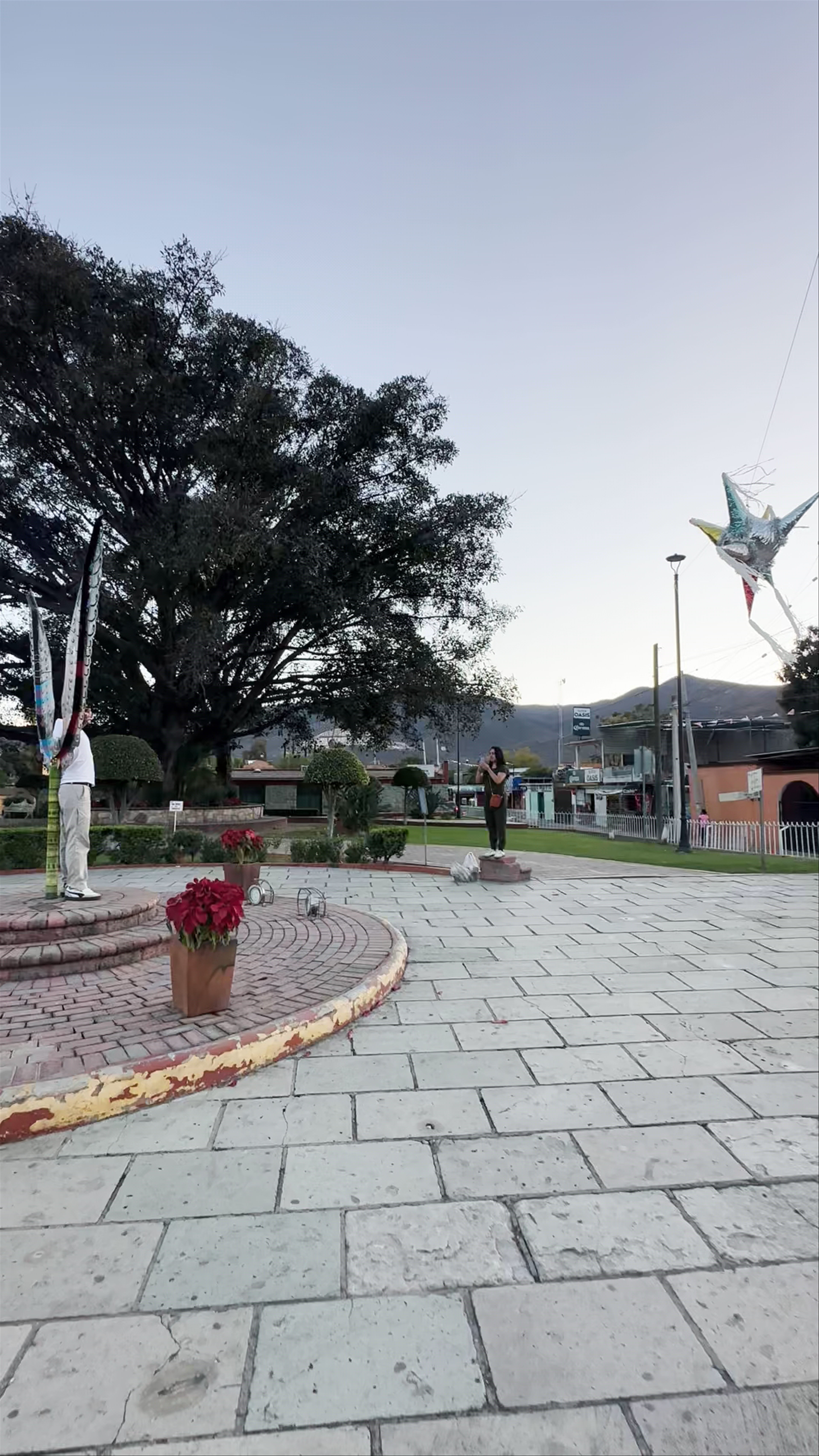 Letras Turísticas "El Tule"