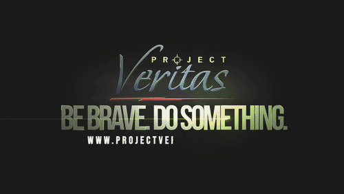 Video Thumbnail Loop