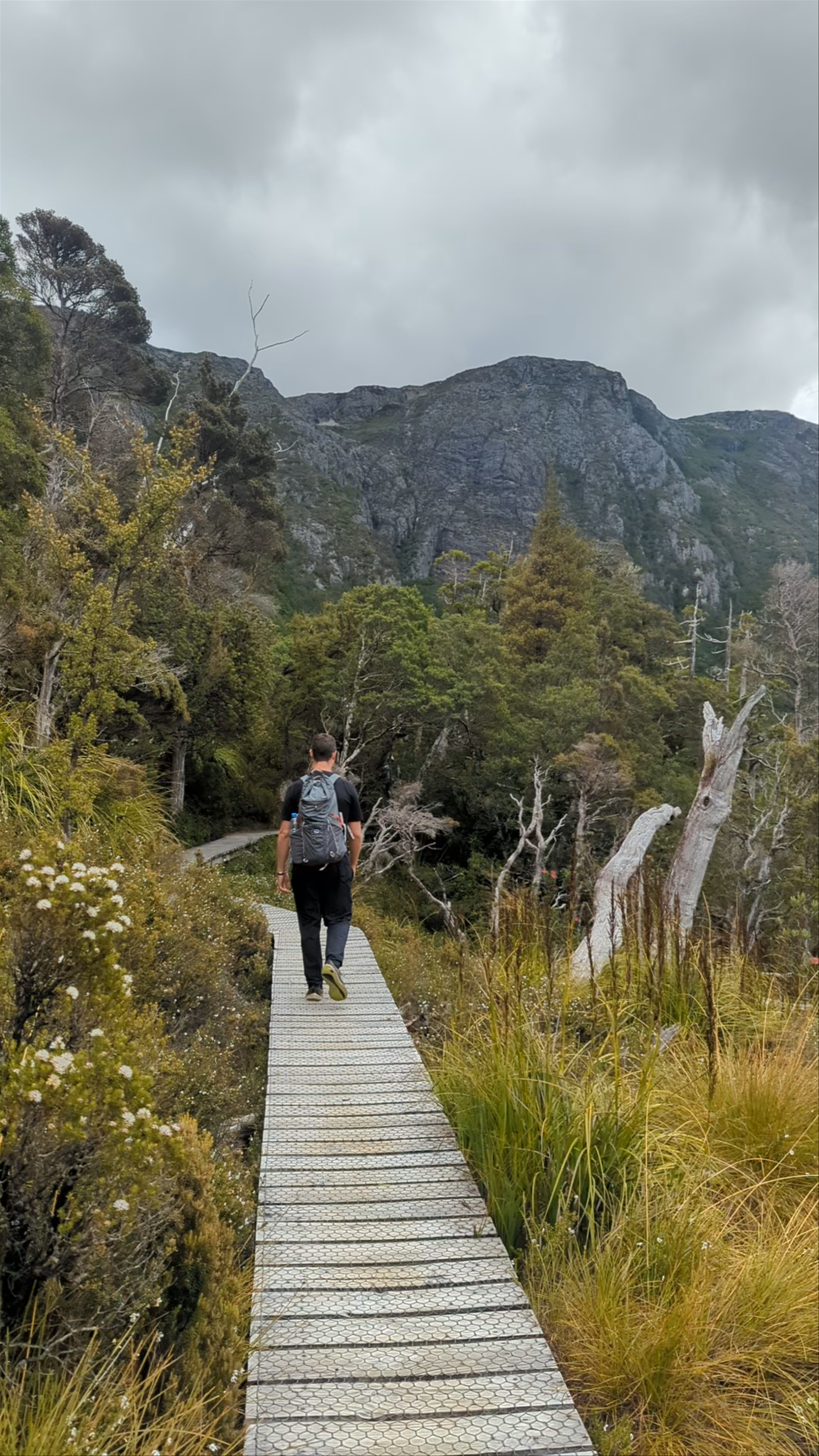 Dove Lake Circuit