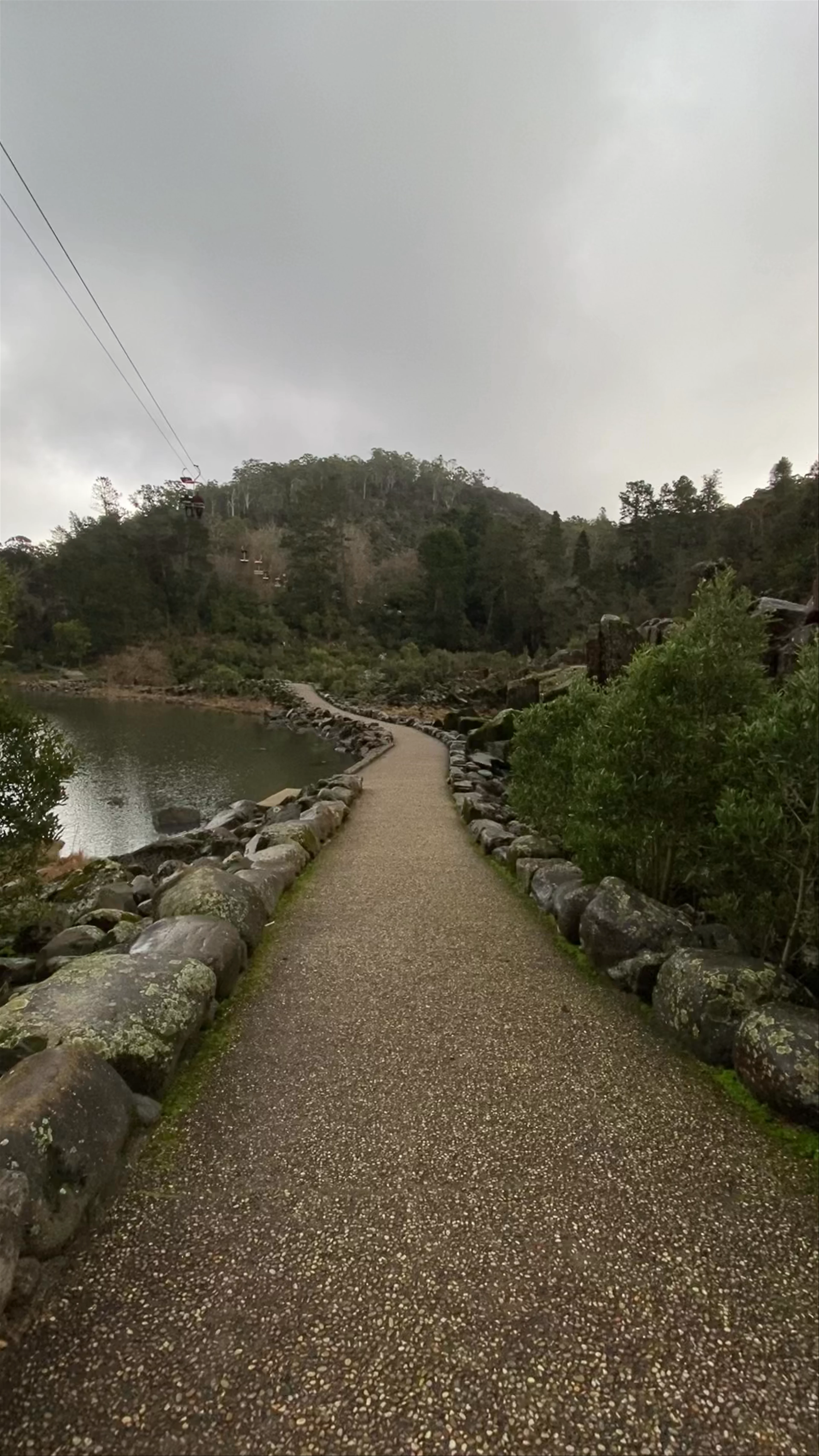 Cataract Gorge Reserve, Basin Road, West Launceston TAS, Australia