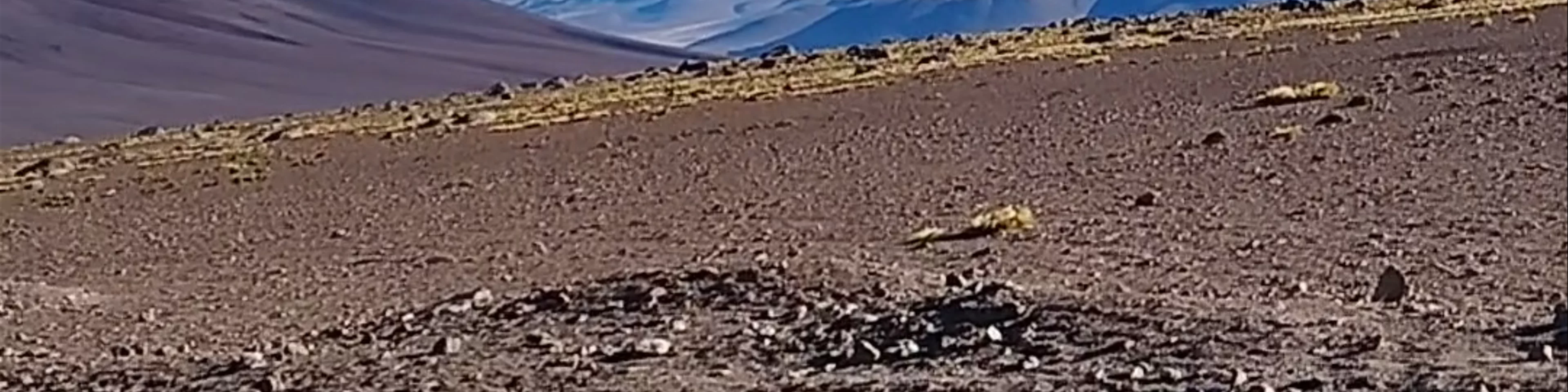 Paso Fronterizo Hito Cajón (Chile) - Ruta 27