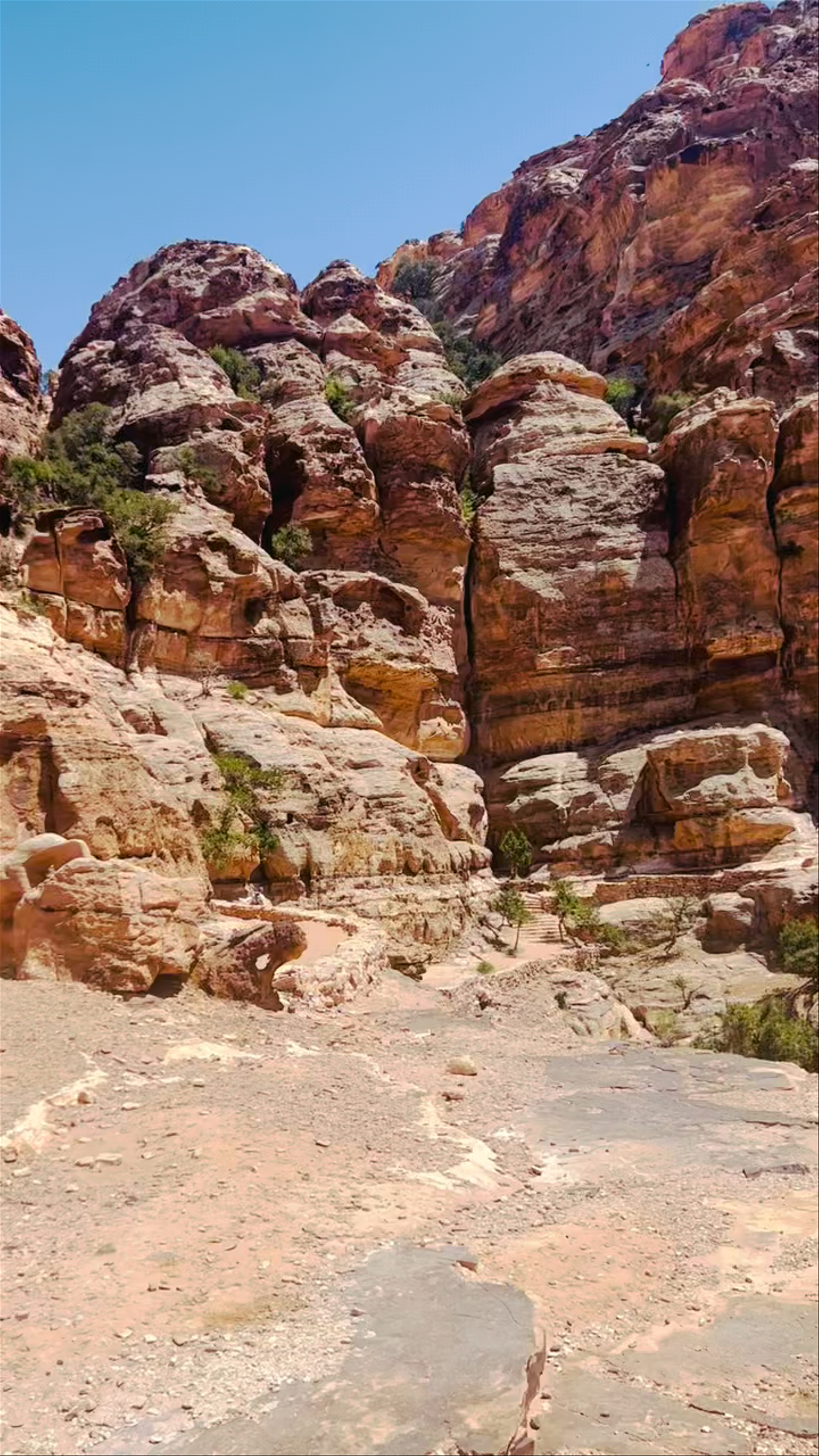 petra visitors center