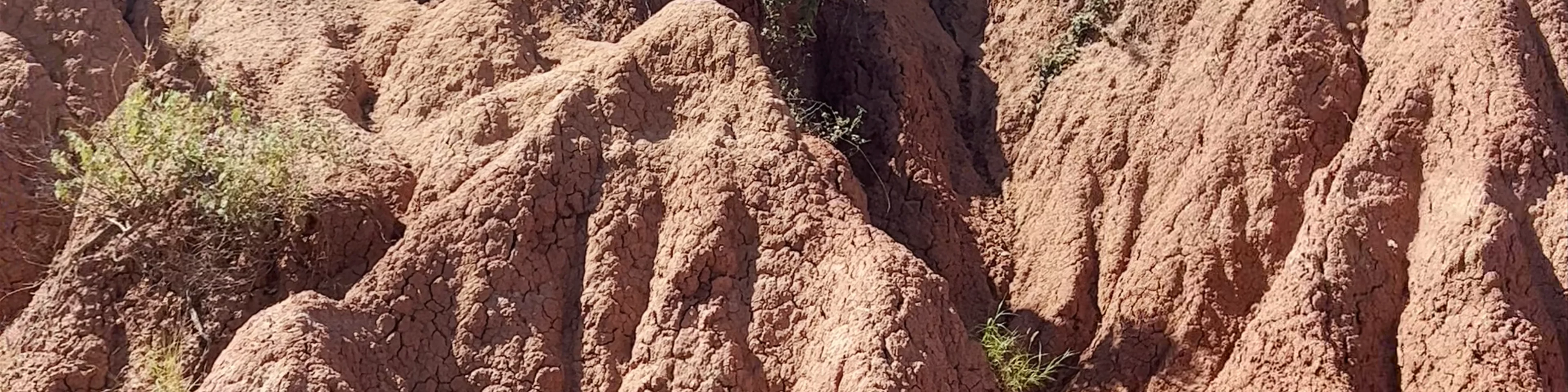 Tatacoa Desert