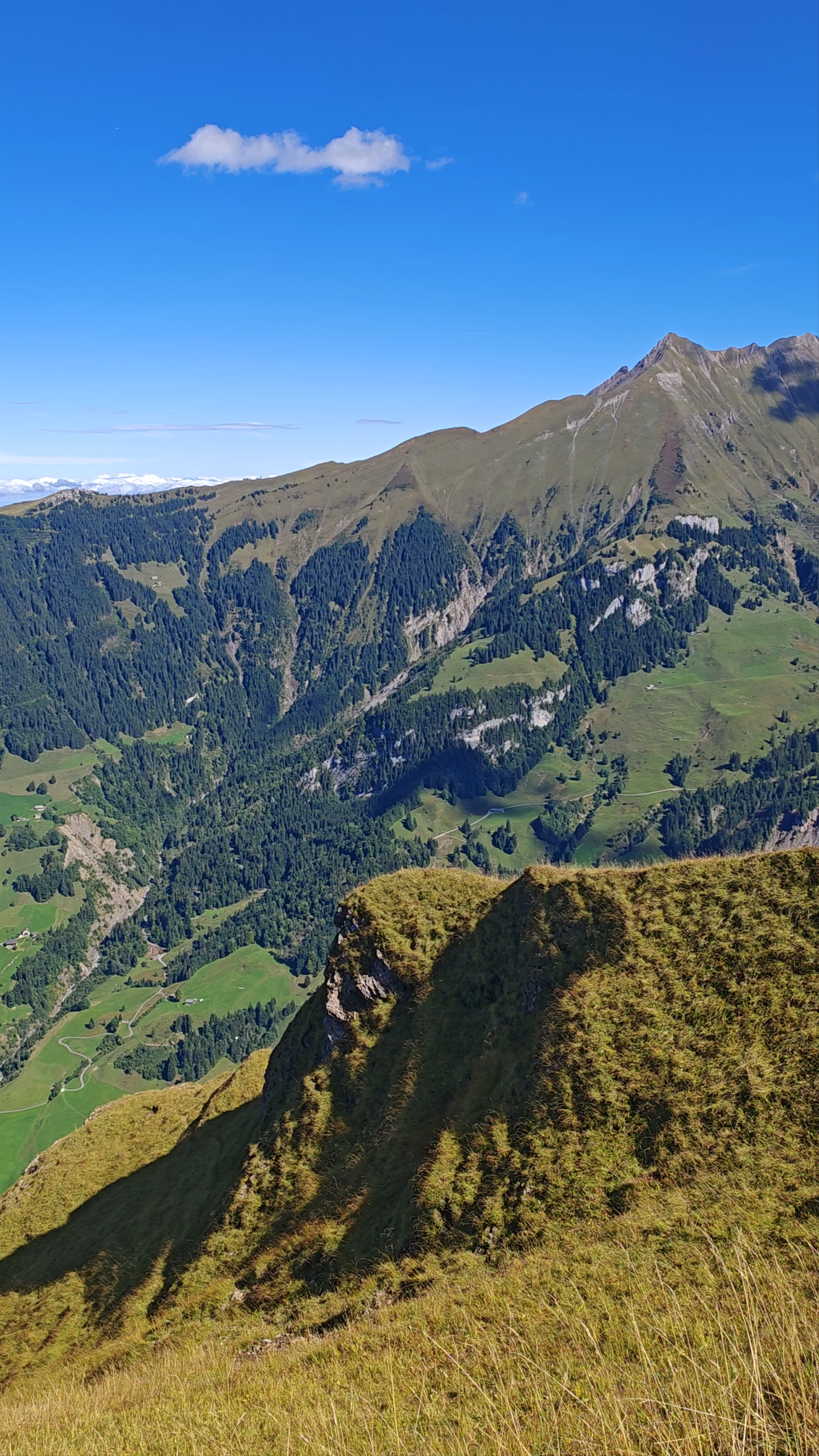 Walenpfad