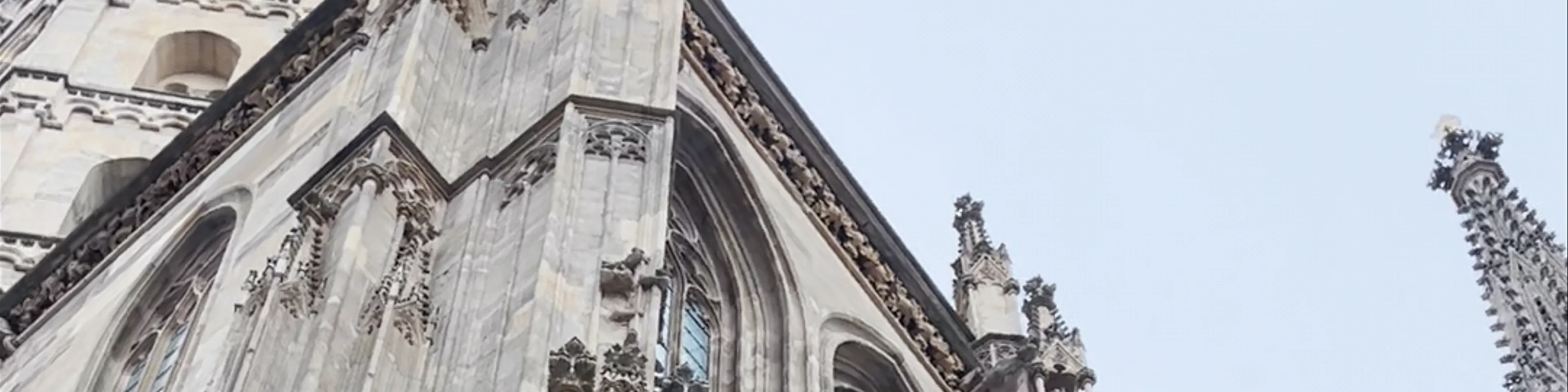 Saint Stephen's Cathedral