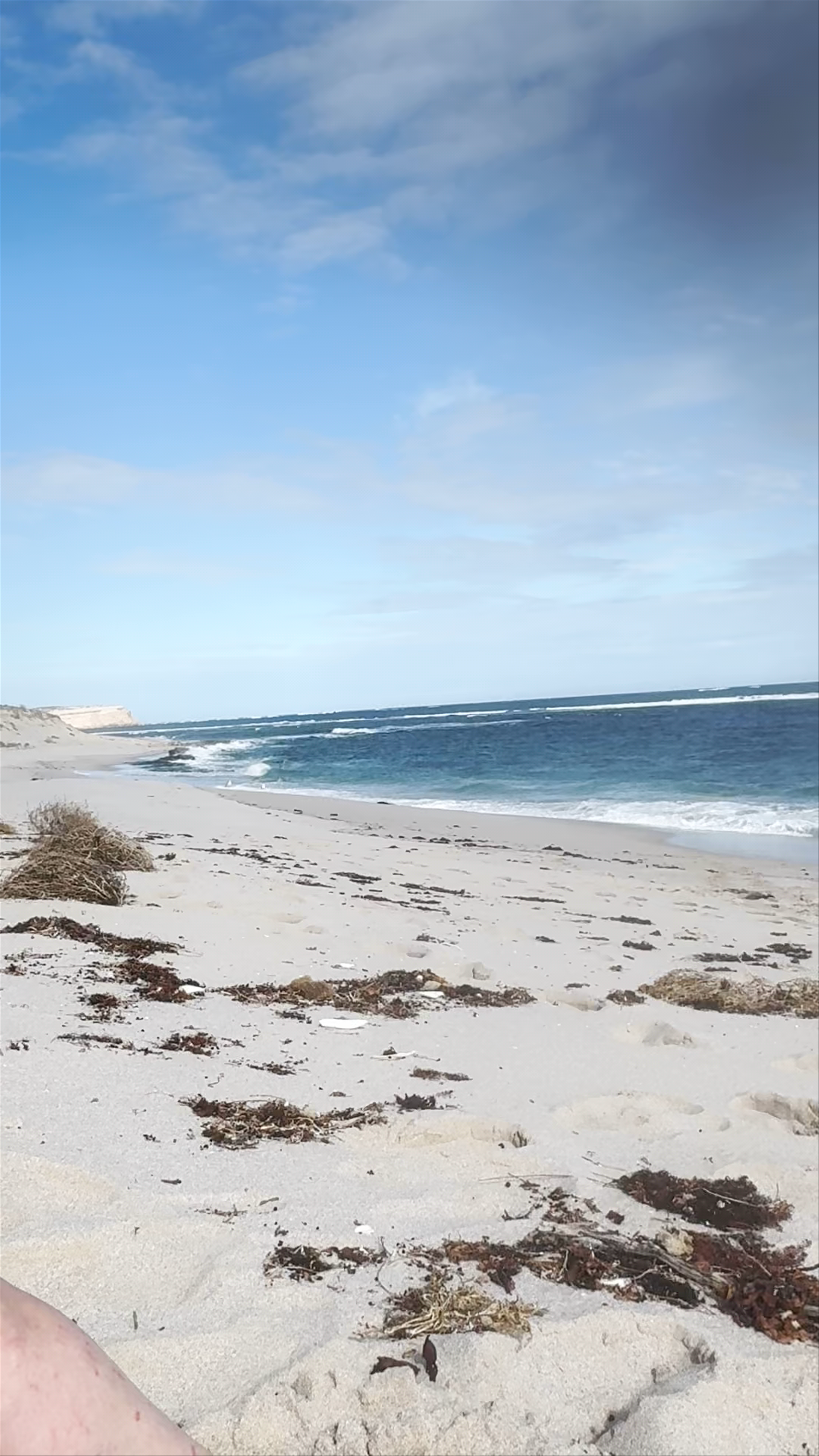 Sceale Bay Conservation Park