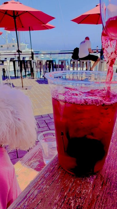 Nectar Coffee Roasters - Iced Hibiscus Berry Tea perfect dir a hot sunny San Diego day - Coffee Roasteries Near Me - San Diego, California