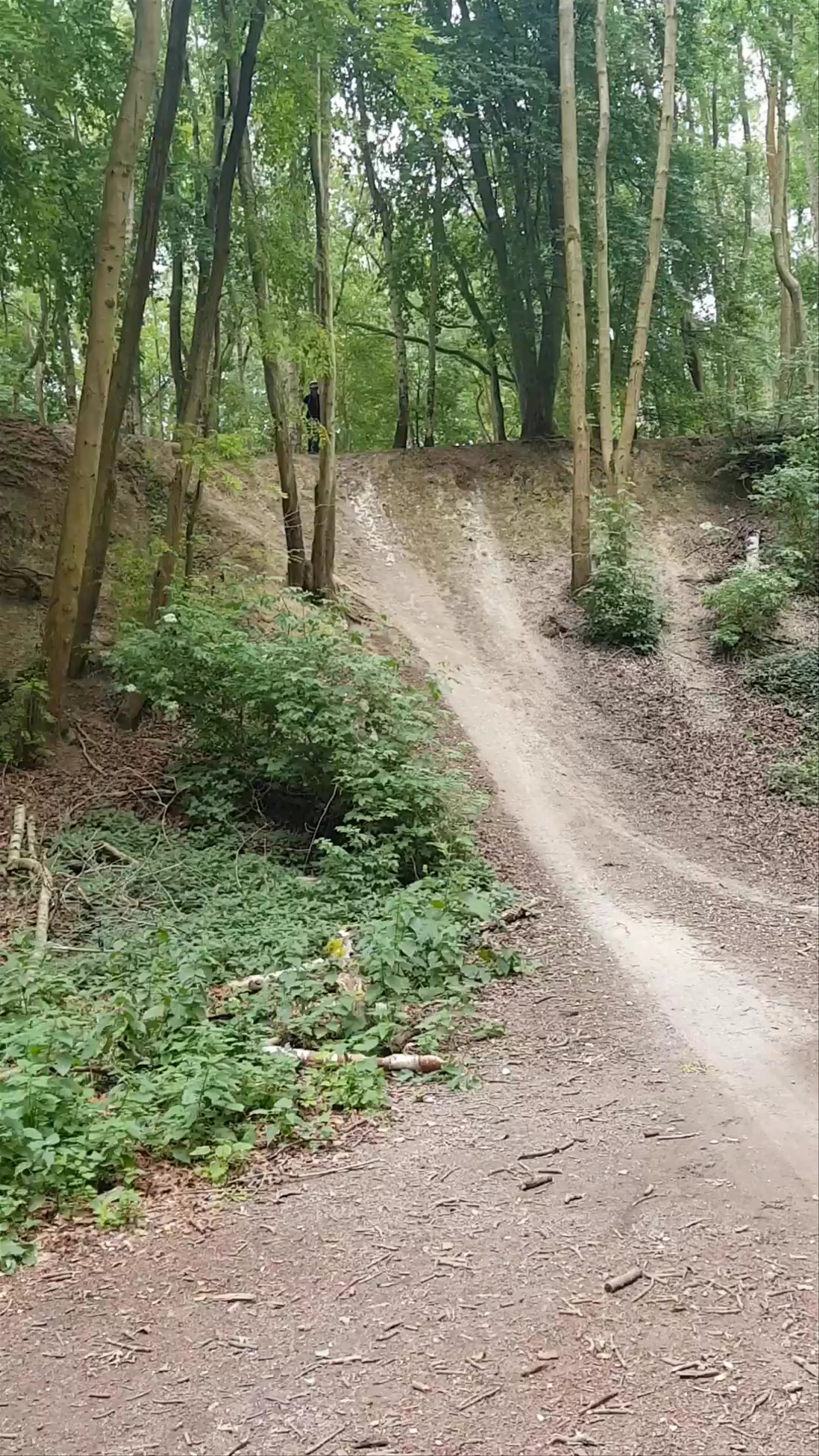 Sulham and Tidmarsh Woods and Meadows