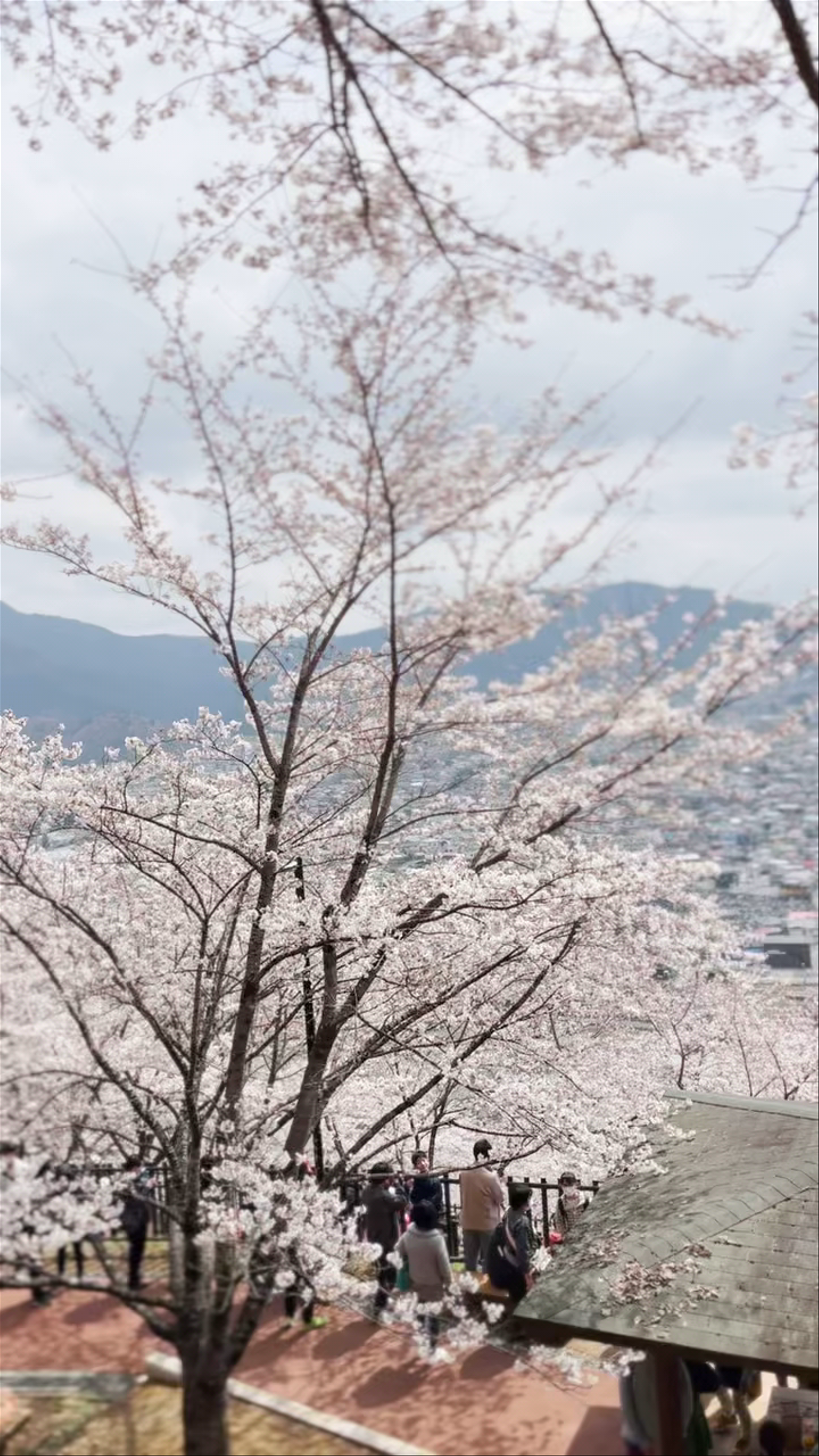 Arakurayama Sengen Park