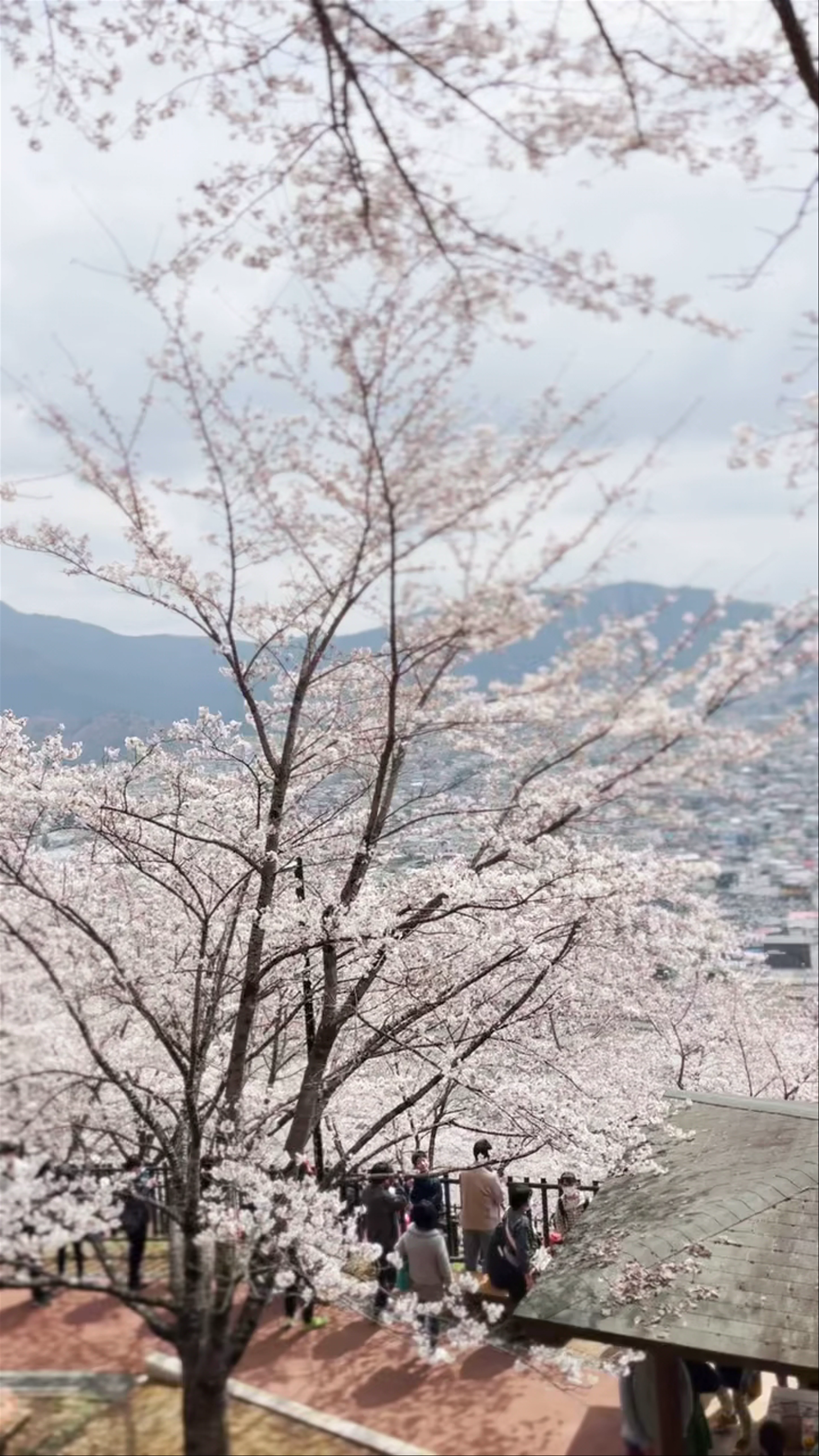 Arakurayama Sengen Park