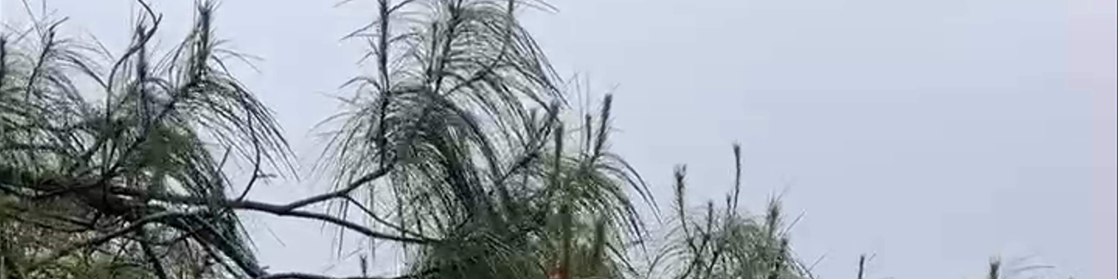 Chiapas