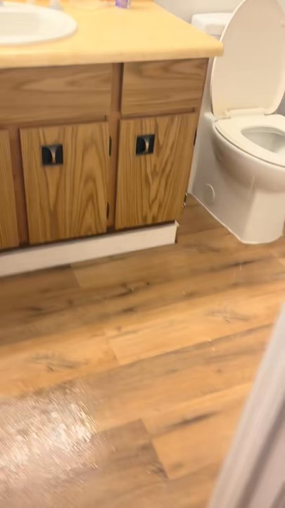 Bella Management & Realty - This was when I first moved in about 2 months into living here 1200$/m - Property Management Near Me - Edmonton, Alberta