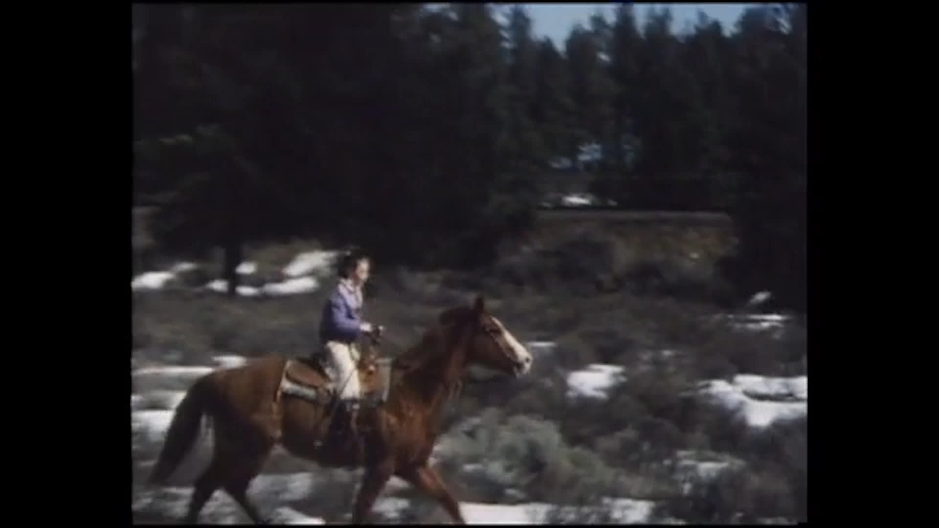 A rider guides a brown horse across a snowy, pine-lined clearing as a dog moves nearby. The horse is led to a stop, and a person stands beside it in the winter landscape.