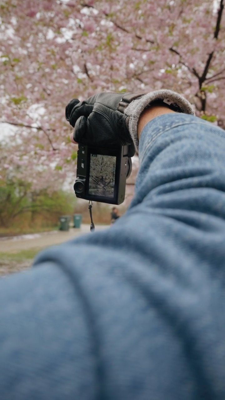 心が洗われる
🎥 Airam Dato-on · Pexels
#日本 #旅行 #絶景 #風景 #japan