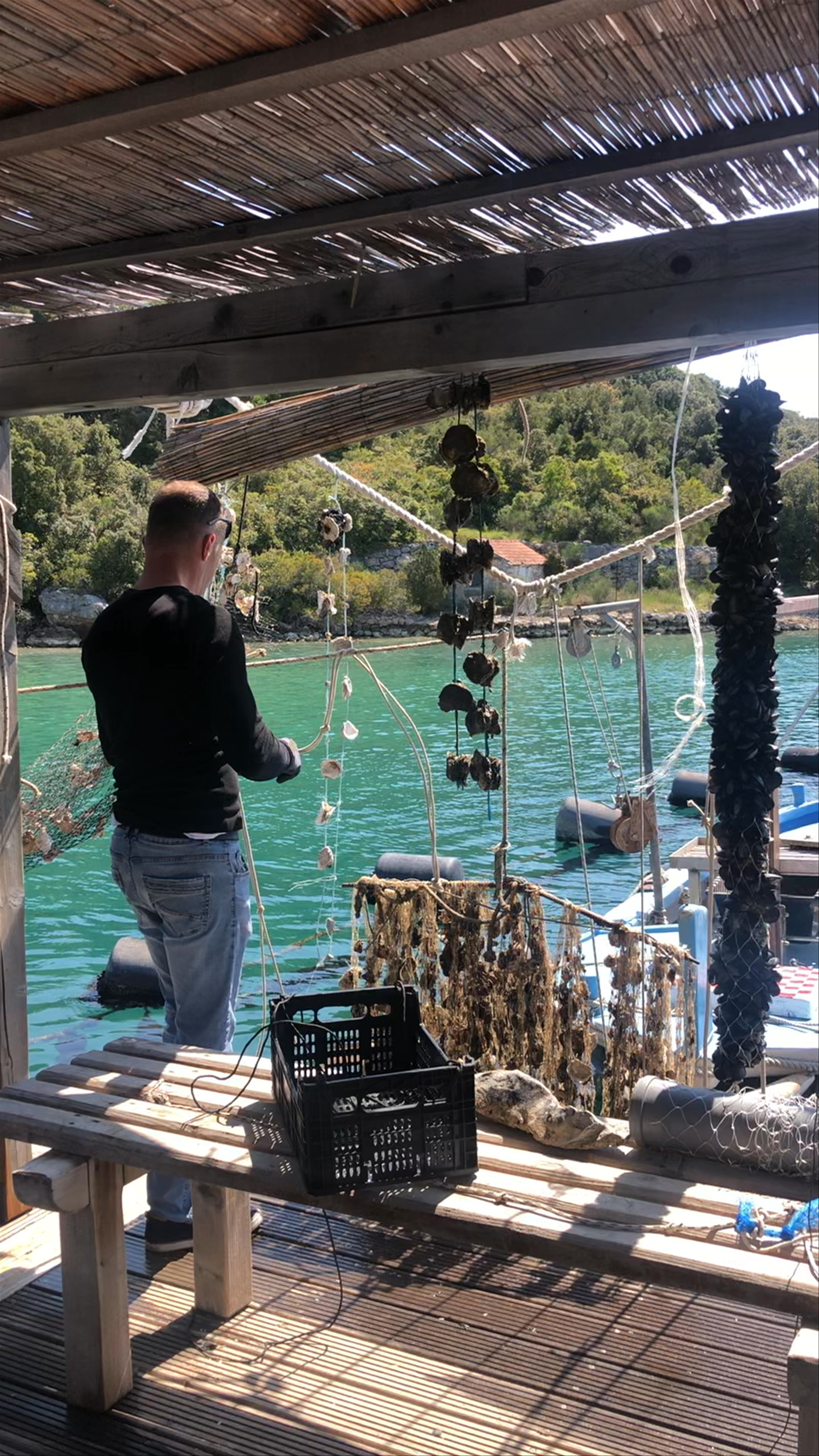 Bota Sare Oyster Farm