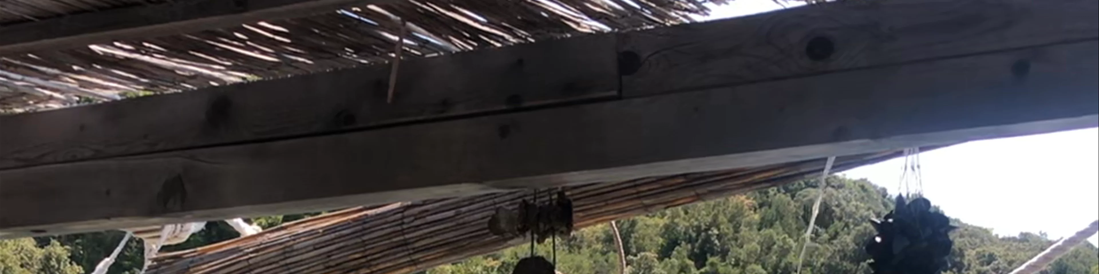 Bota Sare Oyster Farm