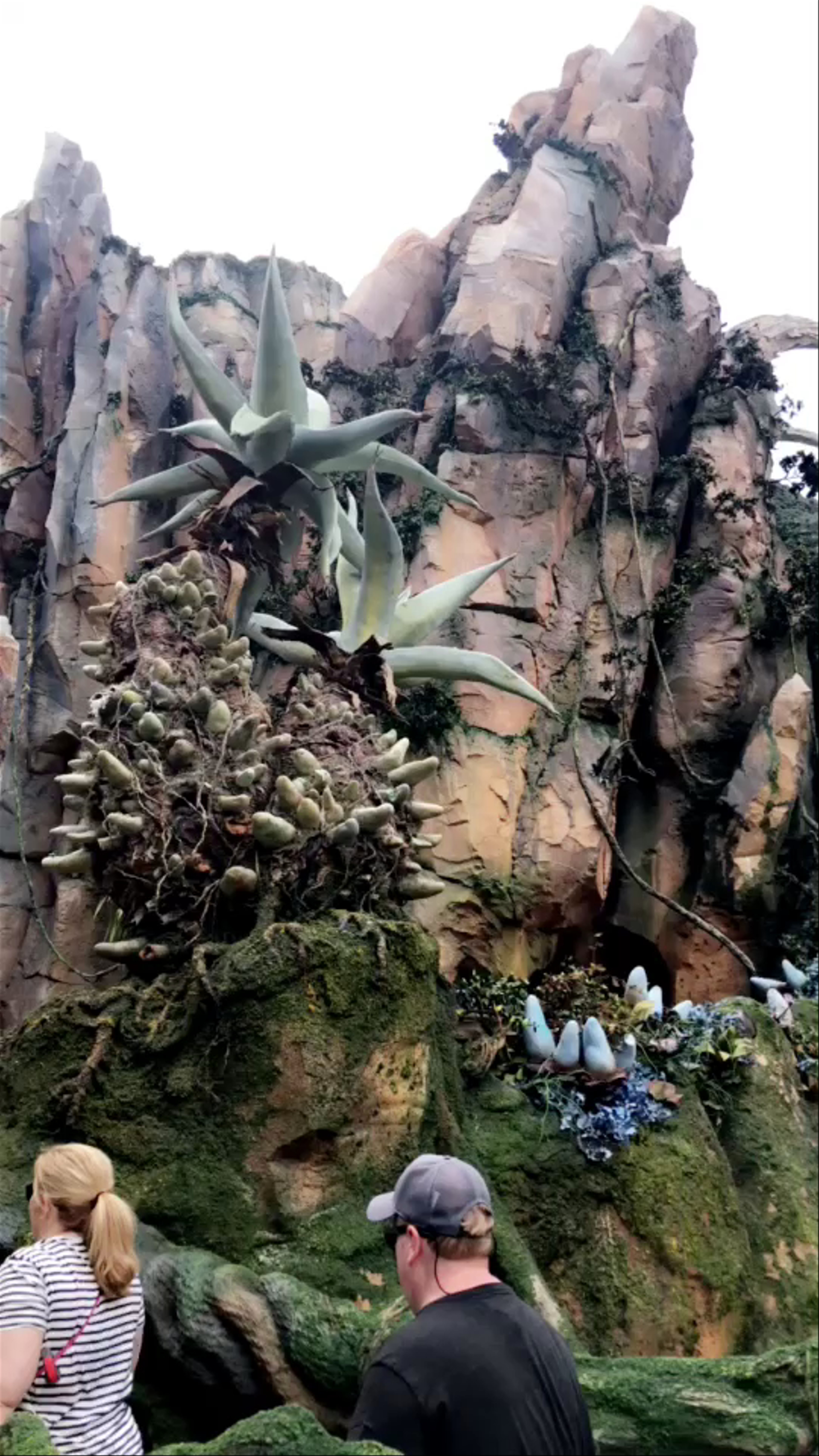 Avatar Flight of Passage