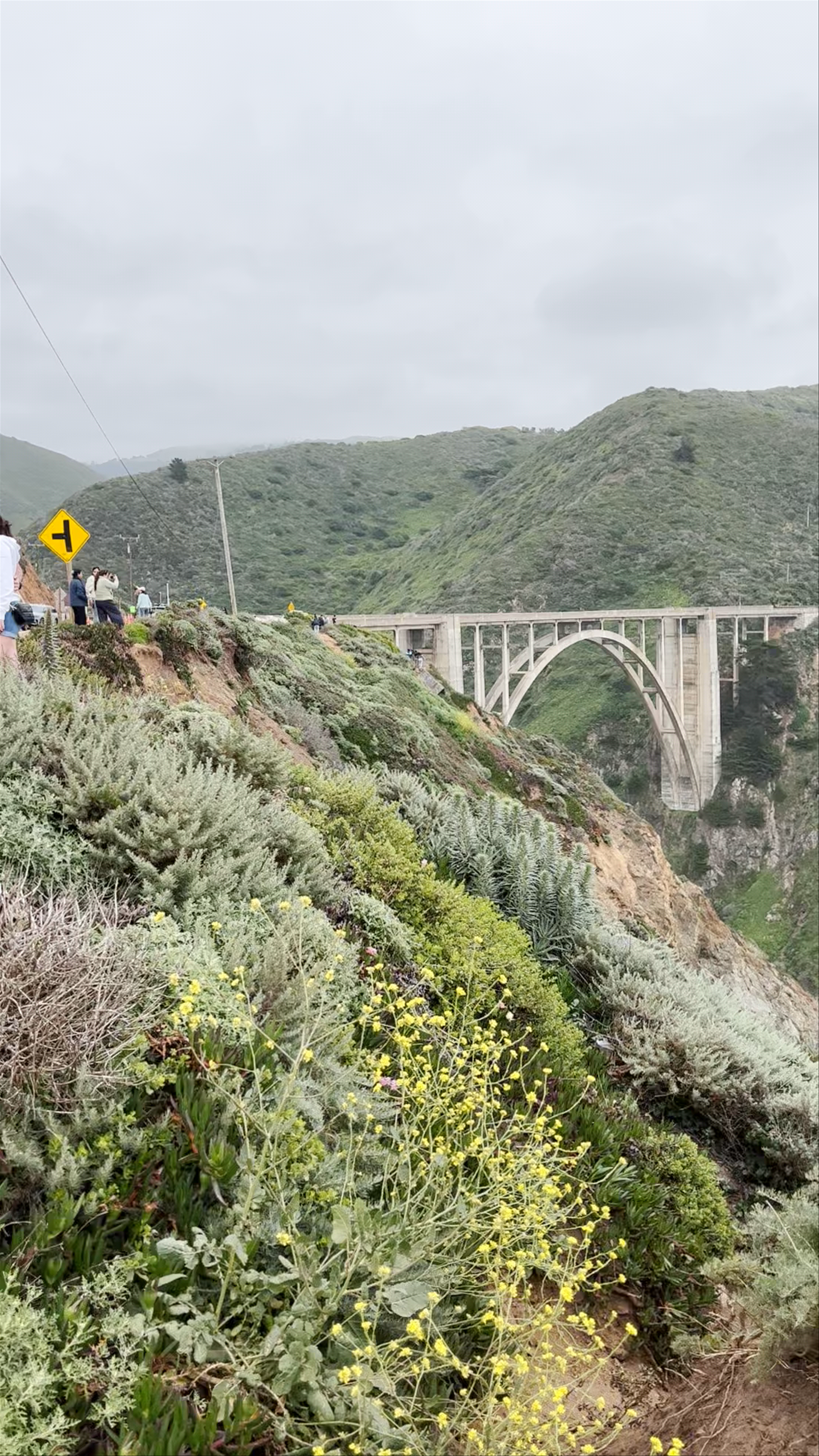 Rocky Creek Bridge & Coastal Landscape in Carmel, California