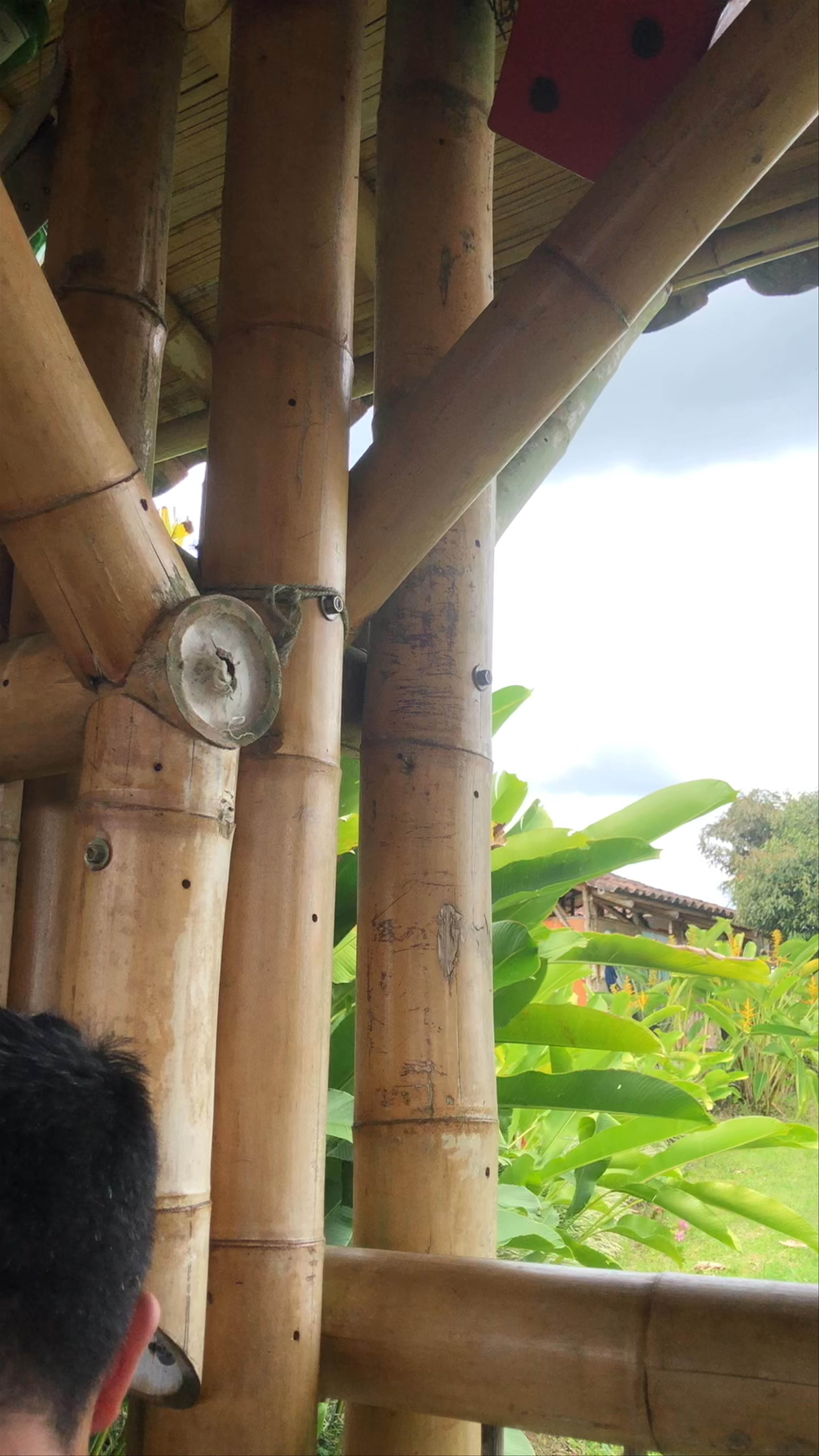 La Isabela Montenegro Quindío