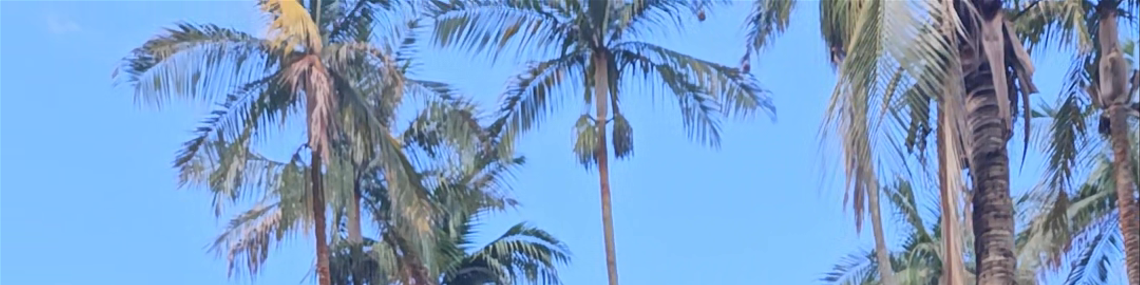 Saint-Pierre