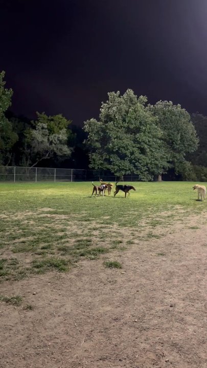 Pooch Park - Dog Parks Near Me - Skokie, Illinois
