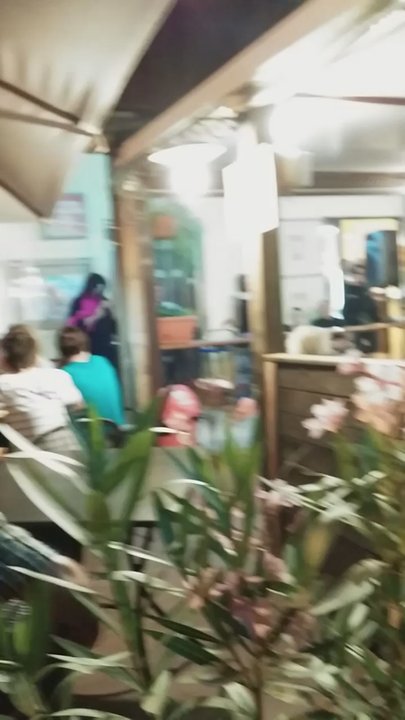 Il Cipresso - Karaoke super con Pino! - Bars Near Me - Riotorto, LI