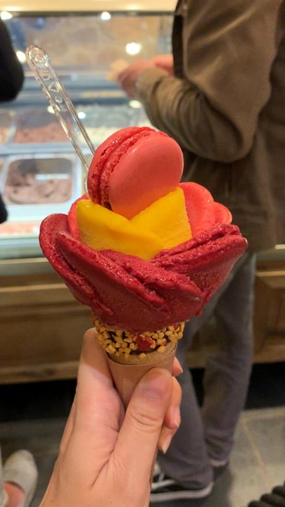 Amorino - Ice Cream & Frozen Yogurt Near Me - Paris, 75