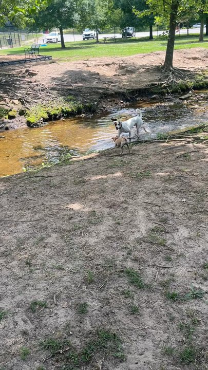 Macon Dog Park - Dog Parks Near Me - Macon, Georgia