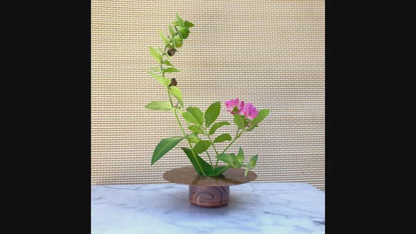 Preview image for video
