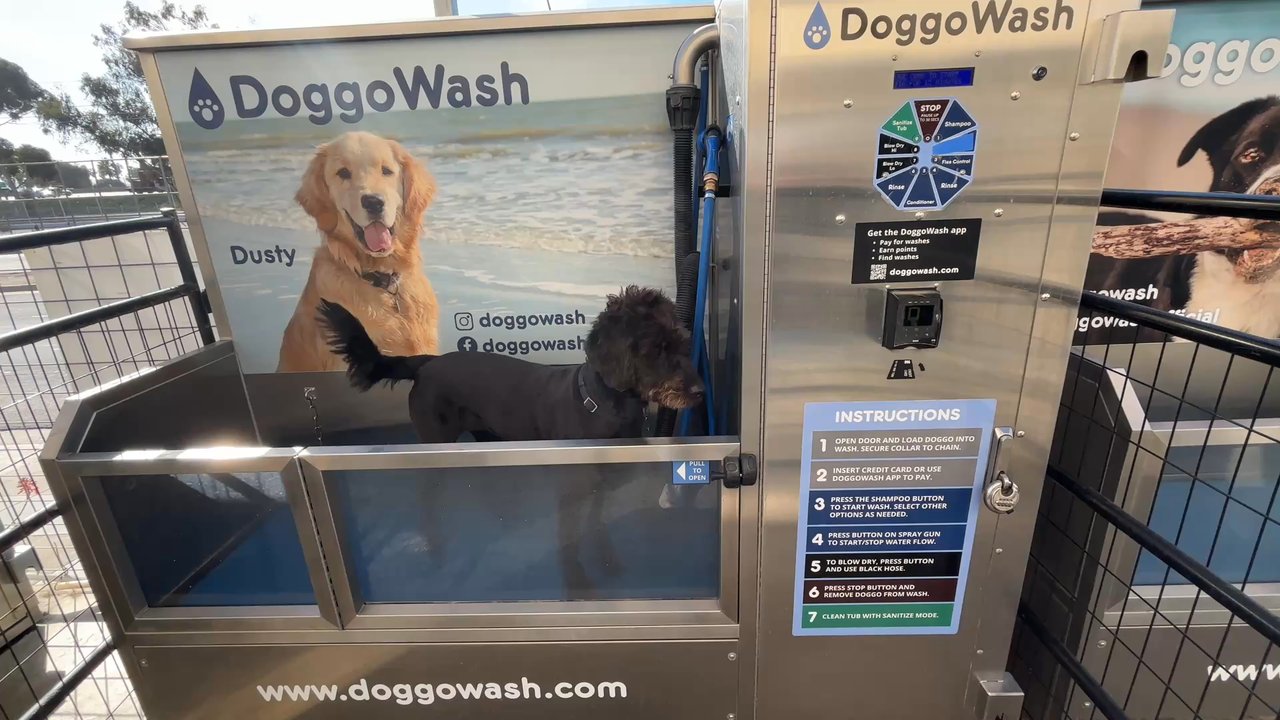 DoggoWash - Dog in dog wash station - Pet Groomers Near Me - San Diego, California