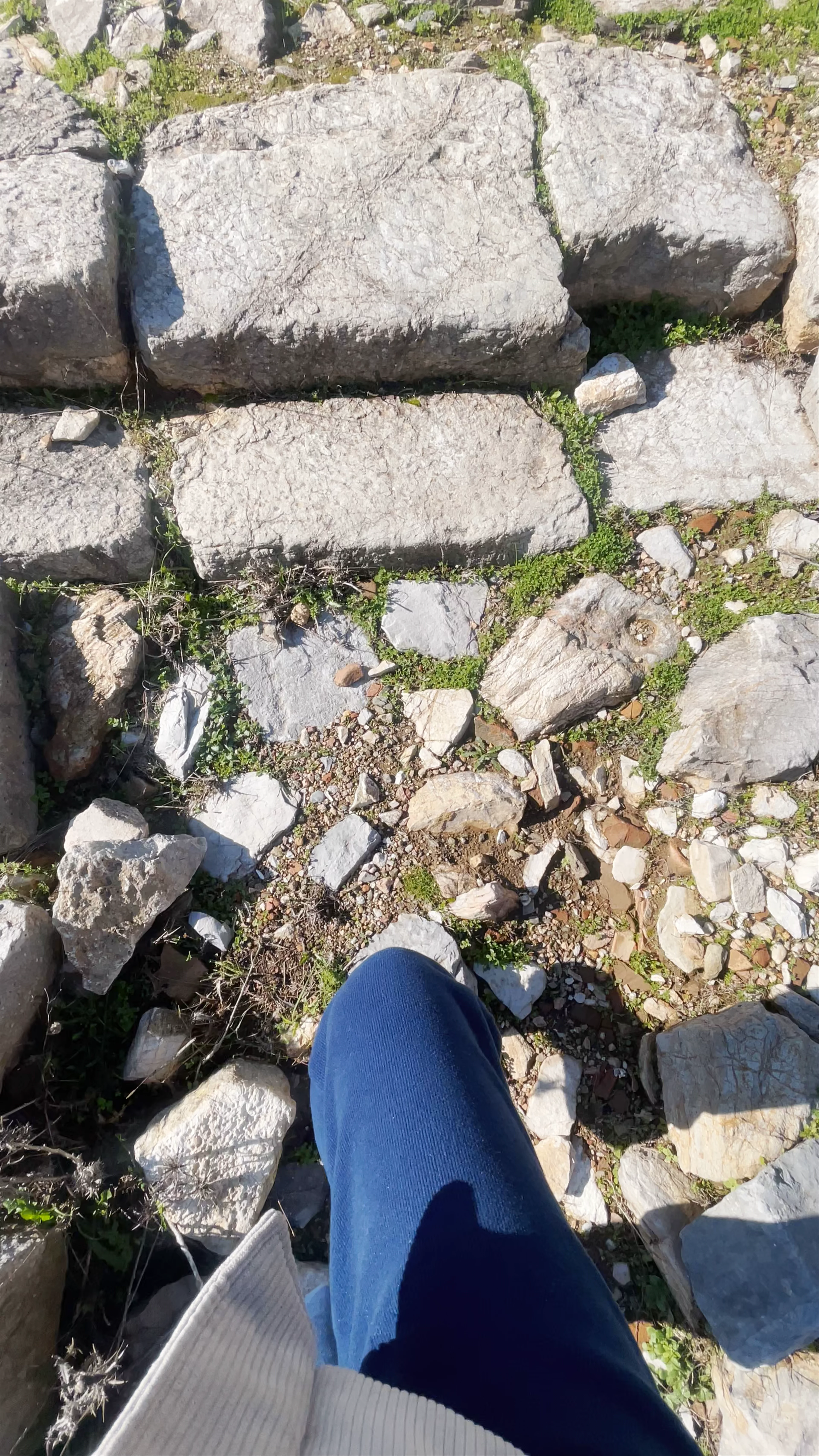 Pedasa Ancient City, Torba