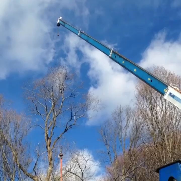 Kelley Tree Service - I would highly recommend using Kelley Tree Services and feel extremely comfortable recommending them to friends and family. - Tree Services Near Me - Beverly, Massachusetts