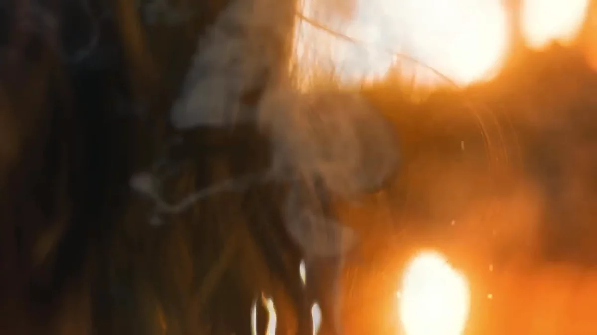 LAIFEN film