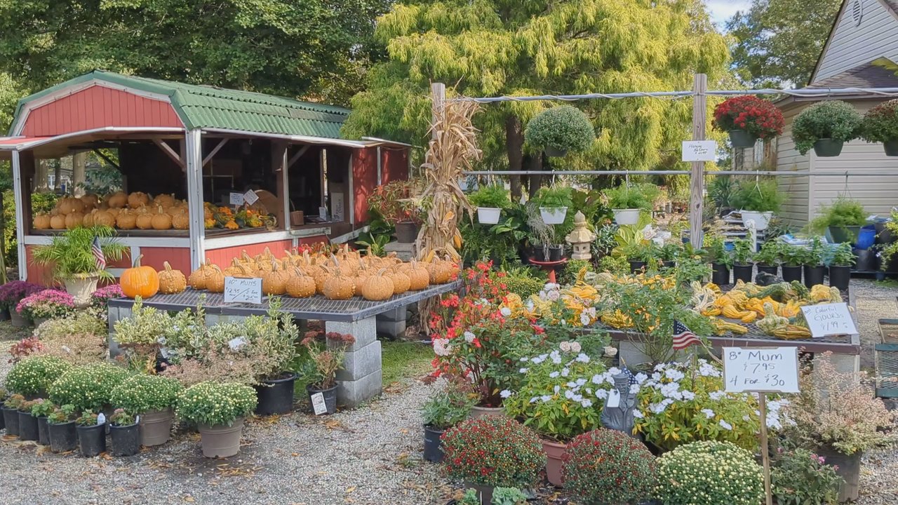 Carter's Country Corner - Video - Nurseries & Gardening Near Me - Chesapeake, Virginia