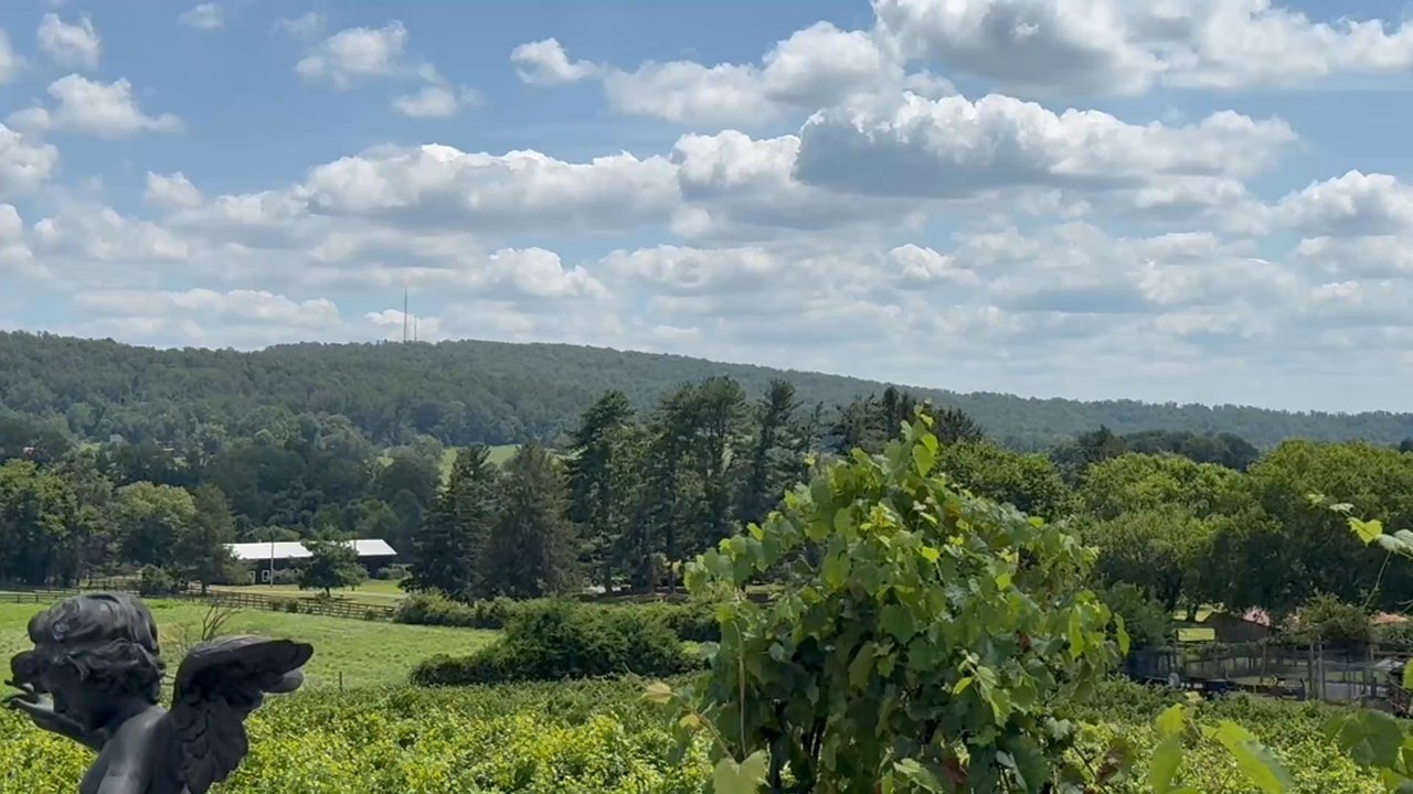 Mediterranean Cellars Winery - Wineries Near Me - Warrenton, Virginia