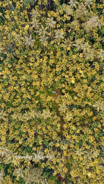 Photo of Camping in western g