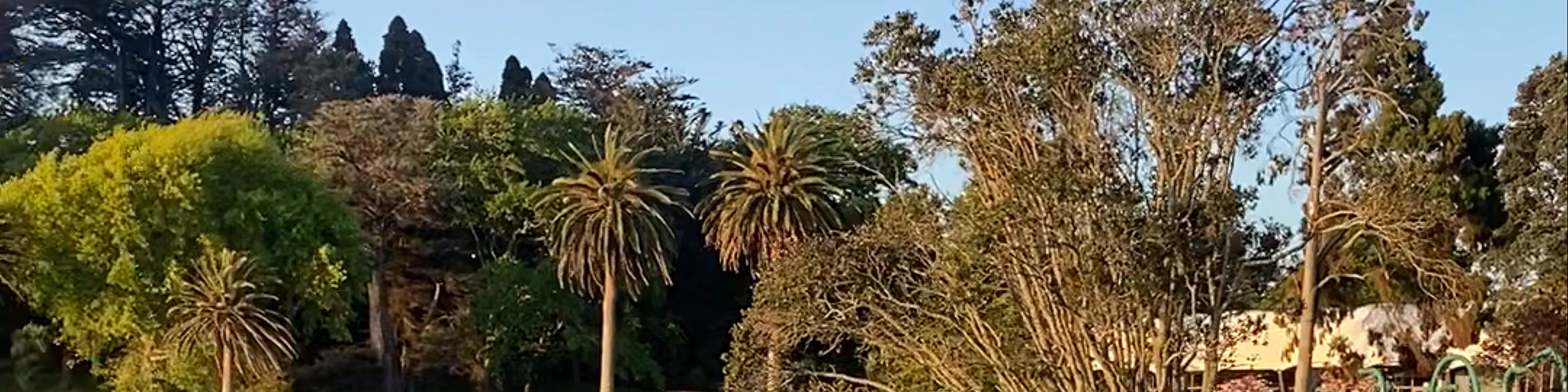 Lake Rotoroa