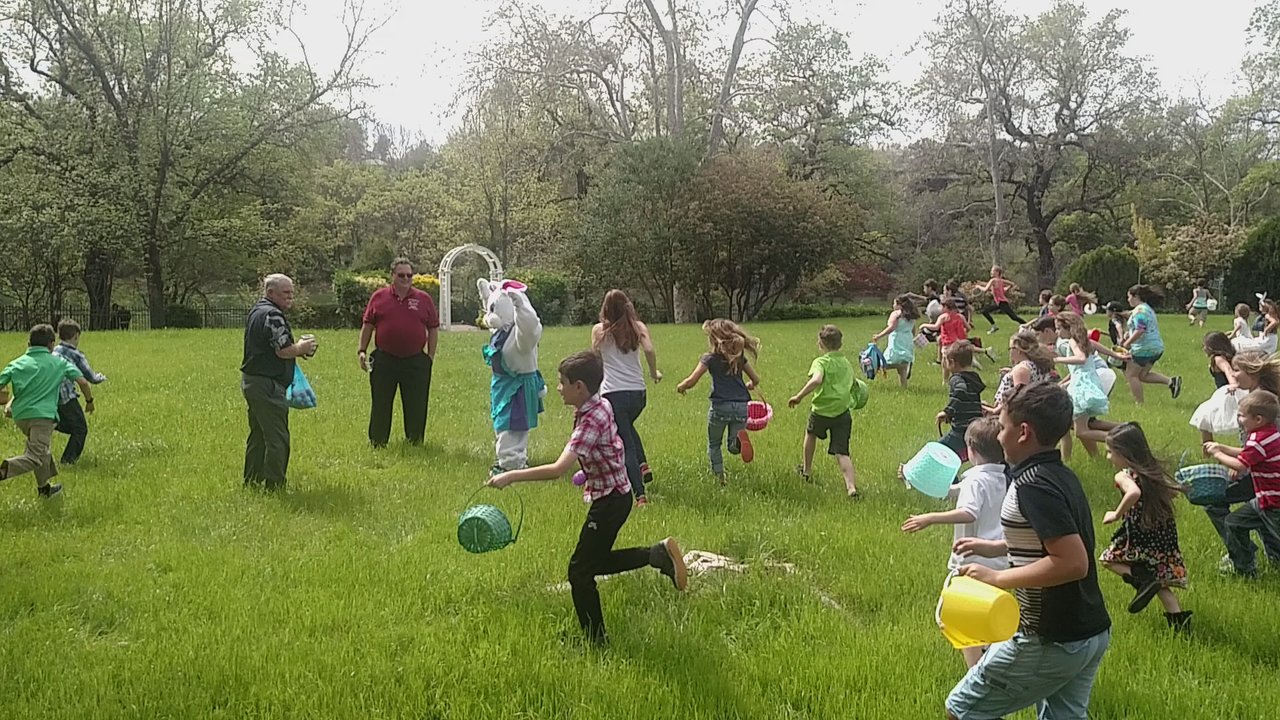 Elks Lodge 1073 - Community Service/Non-Profit Near Me - Redding, California