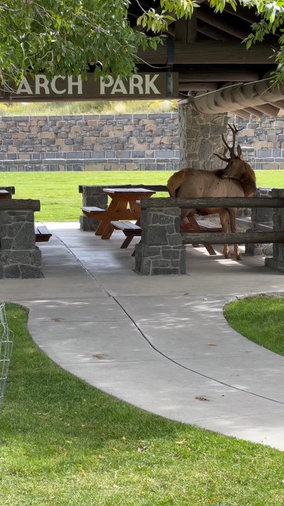 Arch Park - Parks Near Me