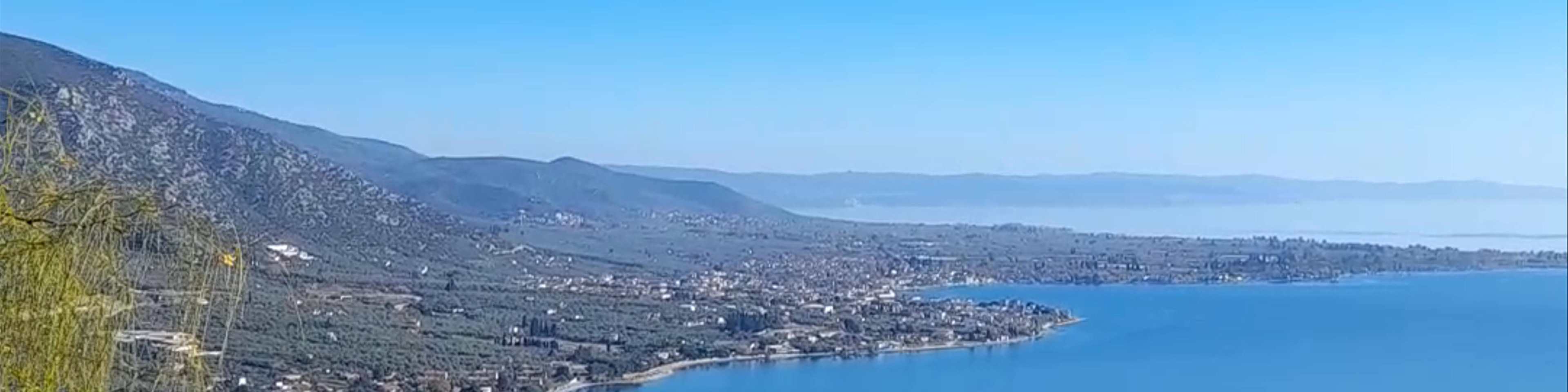 Volos