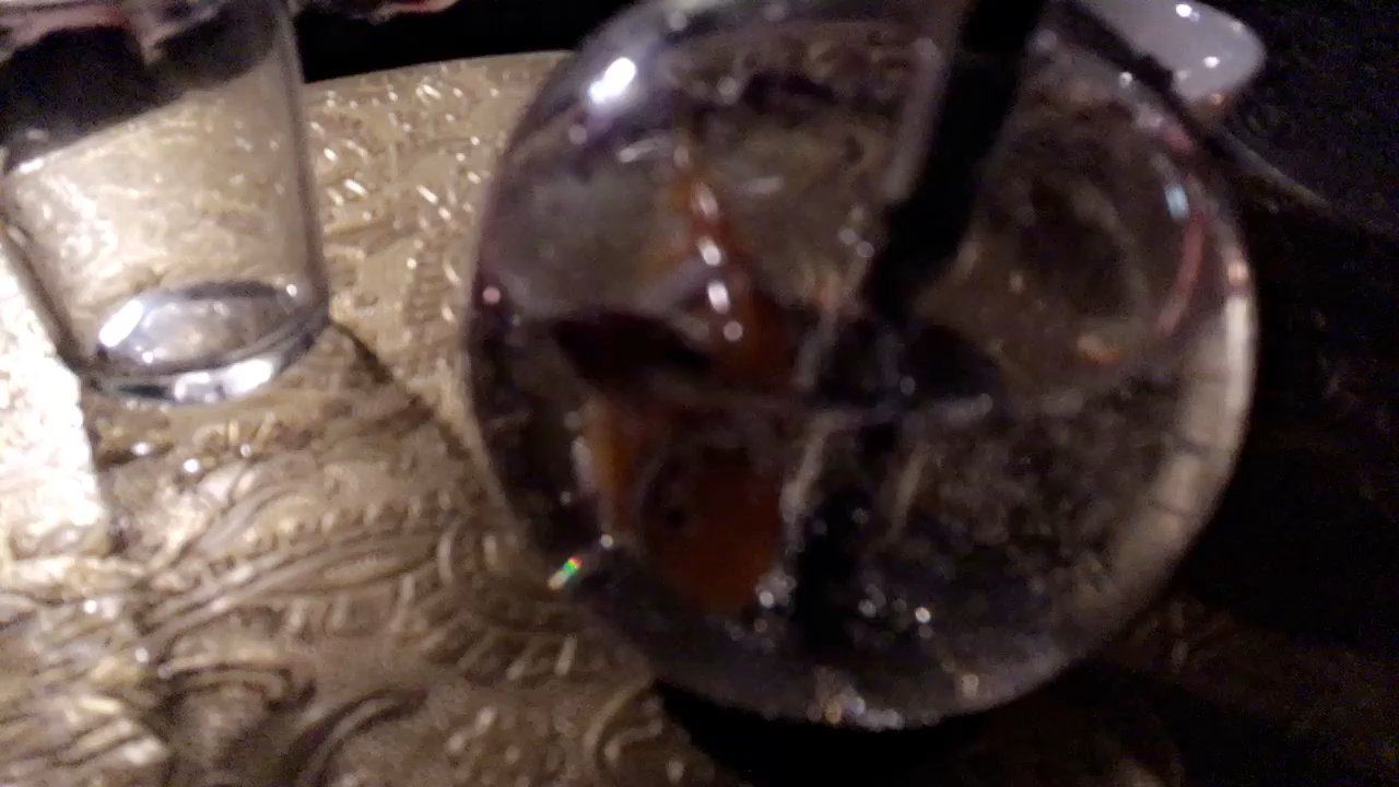 The Sign - Fish & Tonic - Lounges Near Me - Vienna, 9